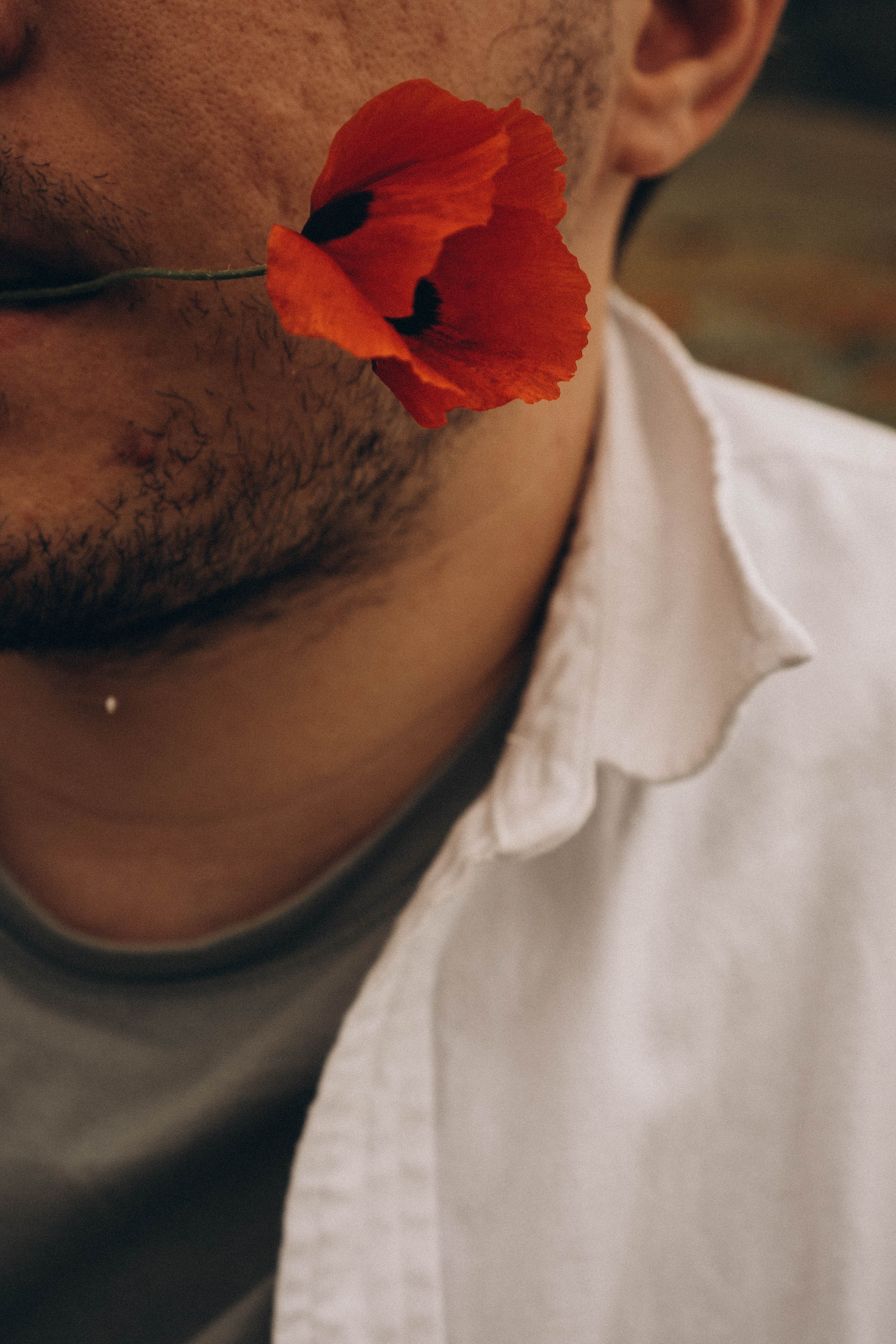Маки. Профессиональный фотограф, Санкт-Петербург — Виктория Богомолова