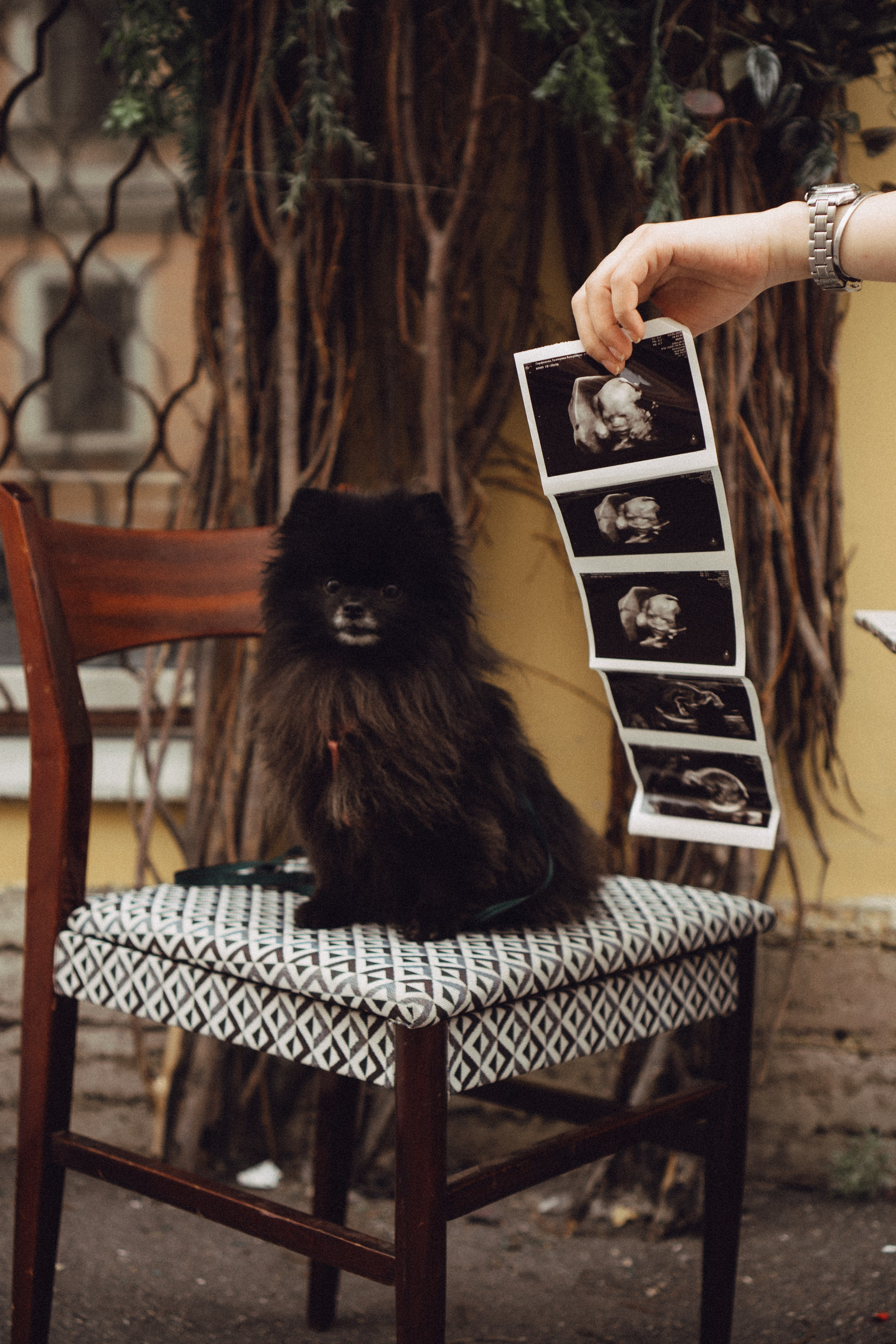 Беременность (только часть фото по желанию клиентов могу показать)). Профессиональный фотограф, Санкт-Петербург — Виктория Богомолова