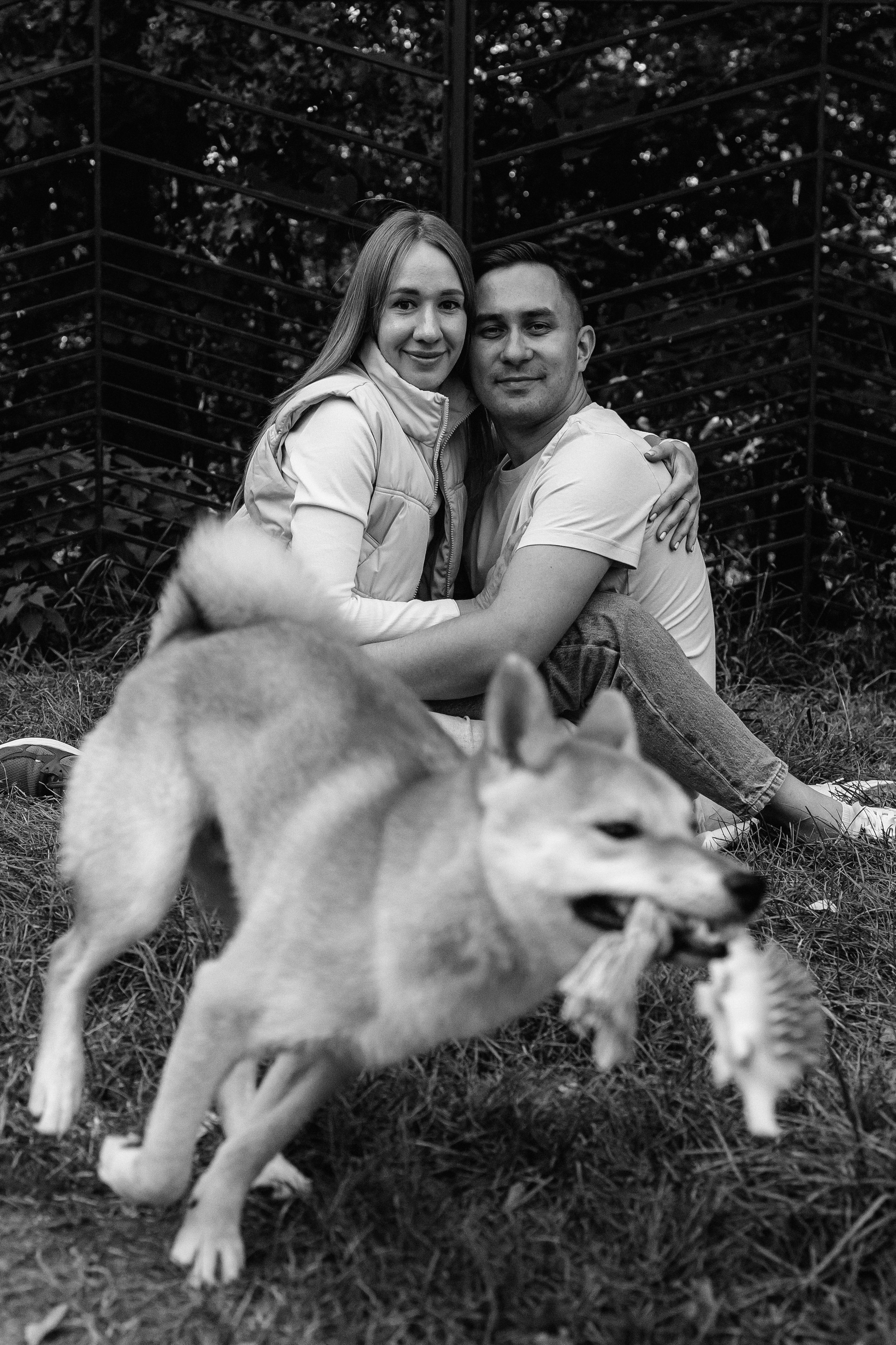 Фотосессия с собакой для Светы, Сергея и их любимчика Апи. Семейный фотограф в Москве, Щелково, Фрязино _ Виктория Степанова