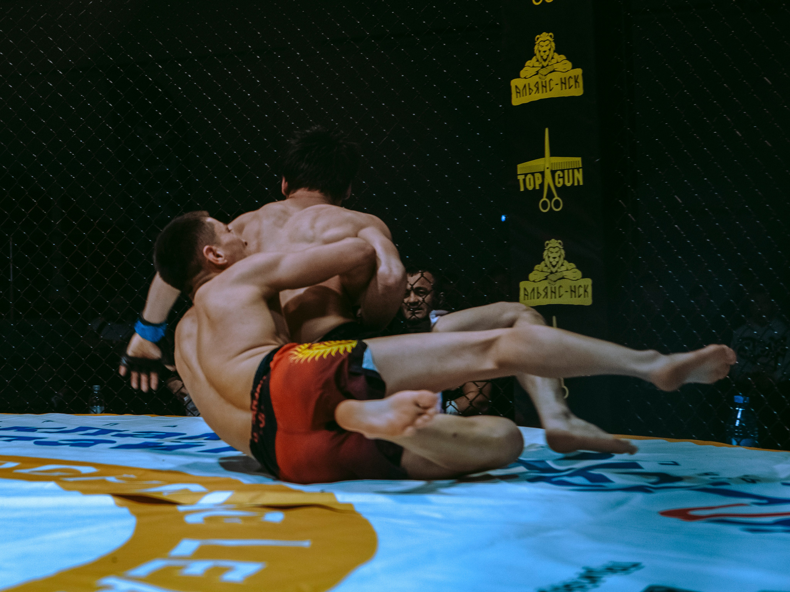 SFL 17 | Siberian Fighting League. Портретный фотограф в Москве Дарья Цезария