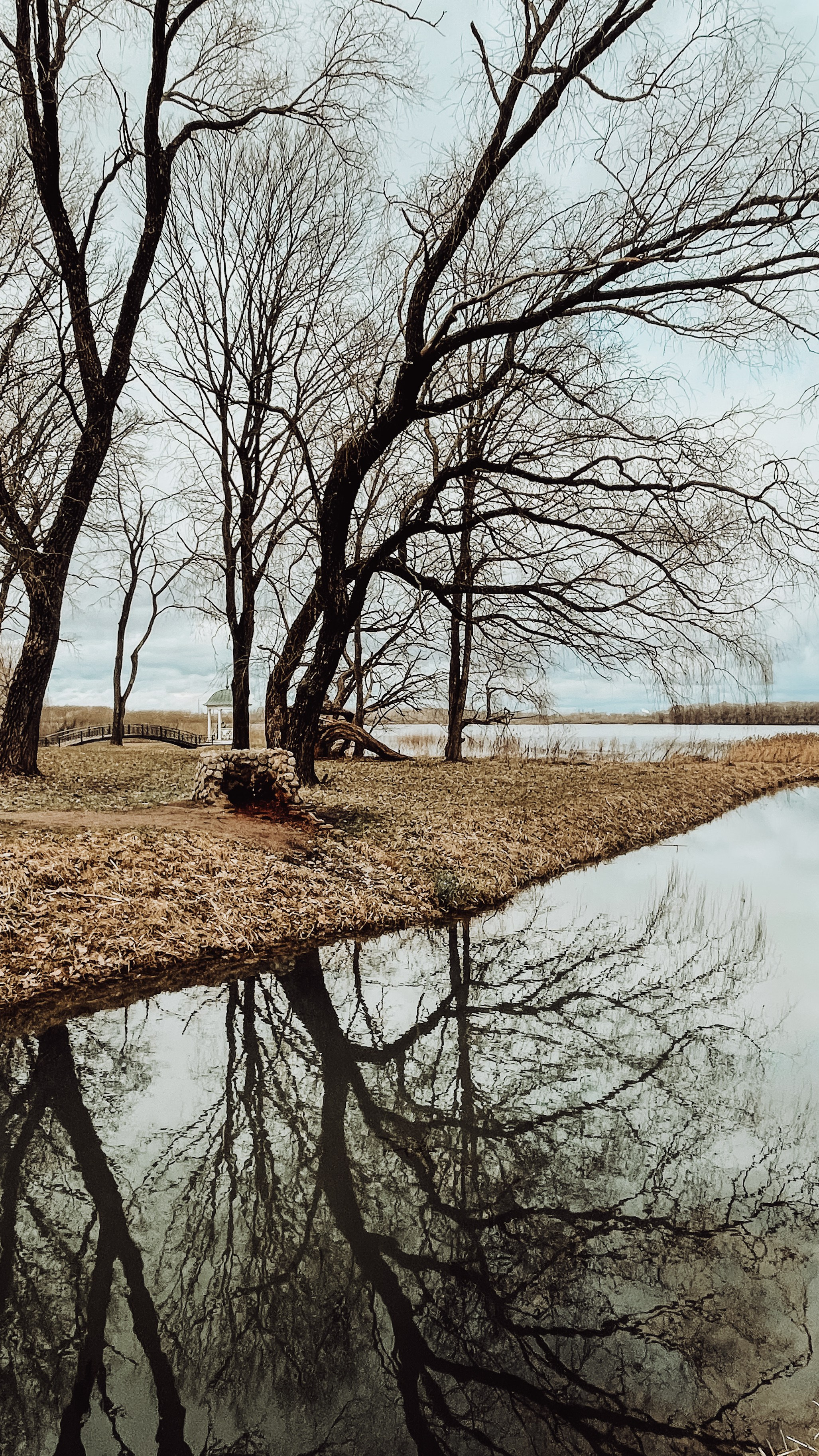 Пейзаж. Фотограф Олеся Шипихина г. Москва