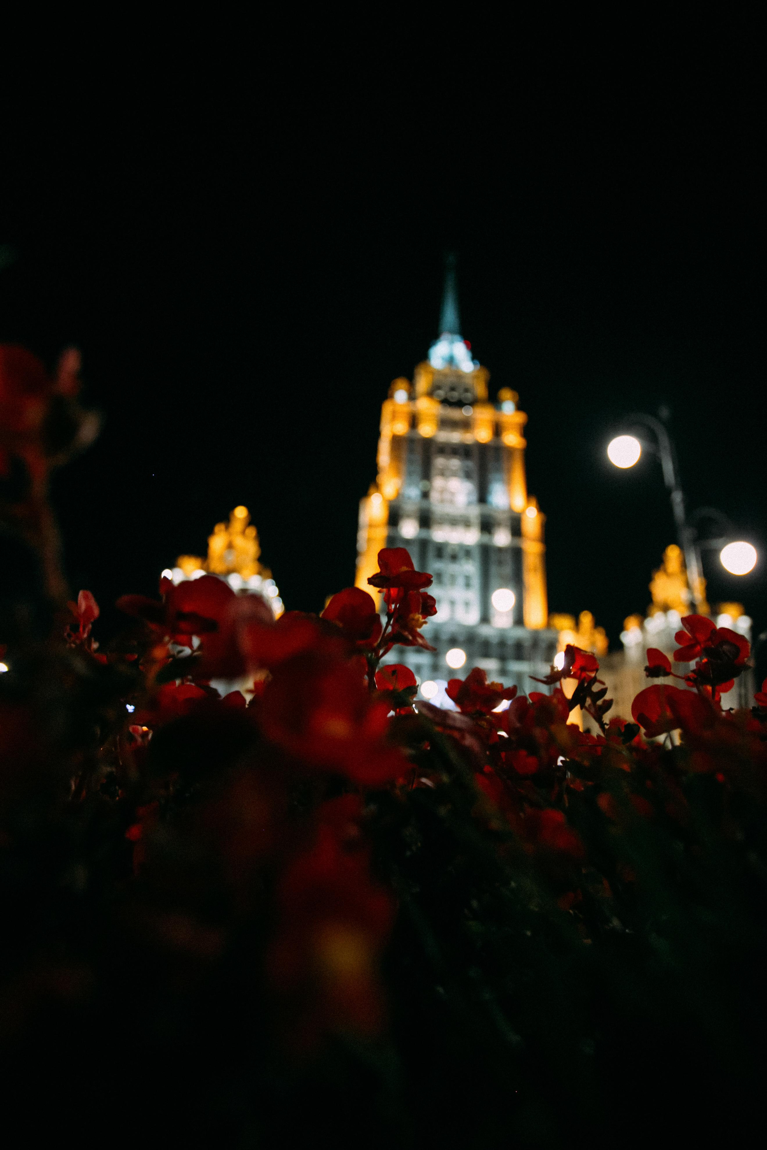 Солнечный праздник. Фотосъемка, свадебная фотосъемка, Москва, Нижний Новгород