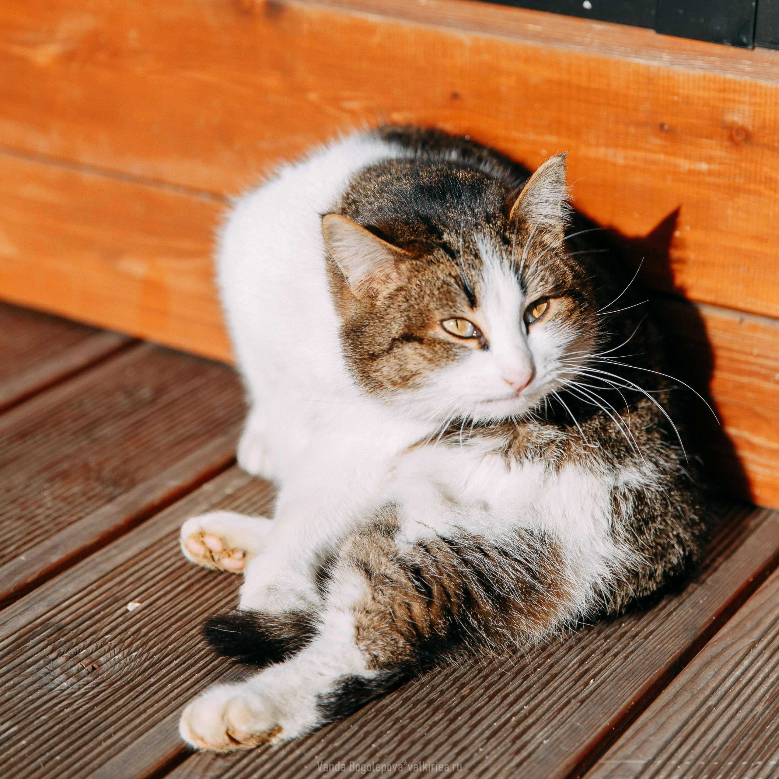 Кристина & Андрей. Фотосъемка, свадебная фотосъемка, Москва, Нижний Новгород