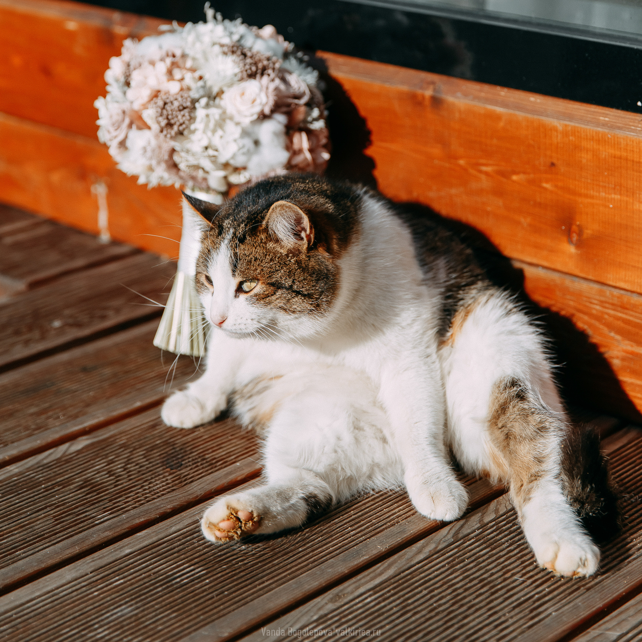 Кристина & Андрей. Фотосъемка, свадебная фотосъемка, Москва, Нижний Новгород