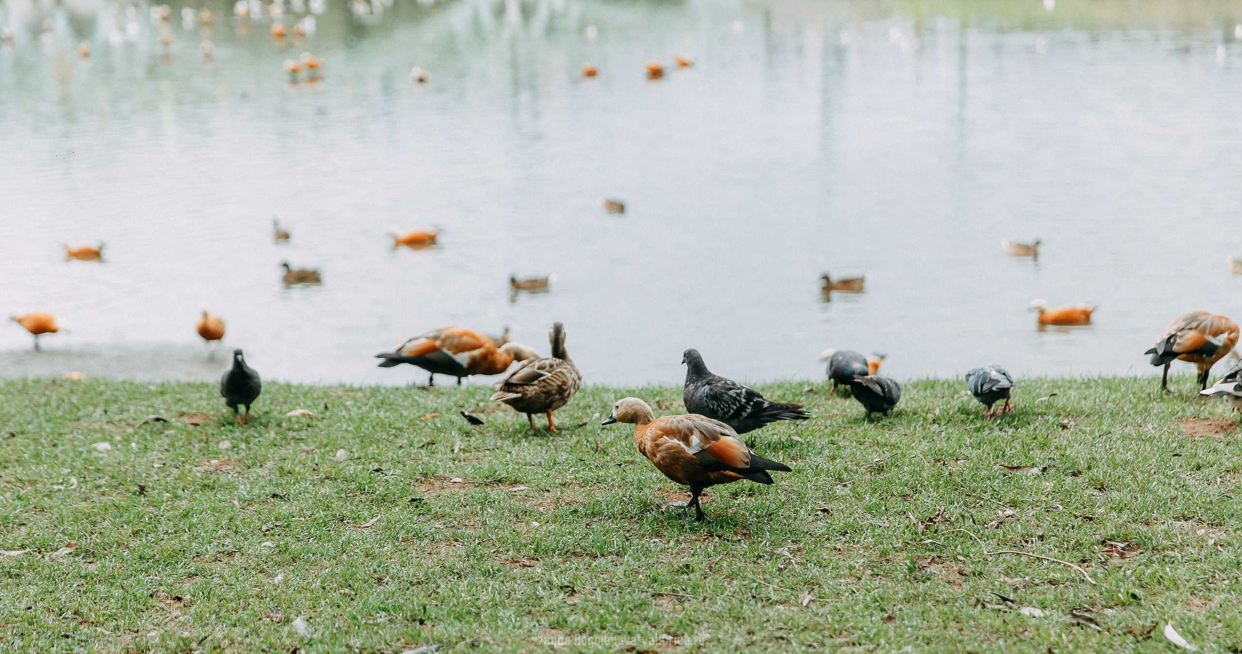08.08.21 Wedding Day. Фотосъемка, свадебная фотосъемка, Москва, Нижний Новгород