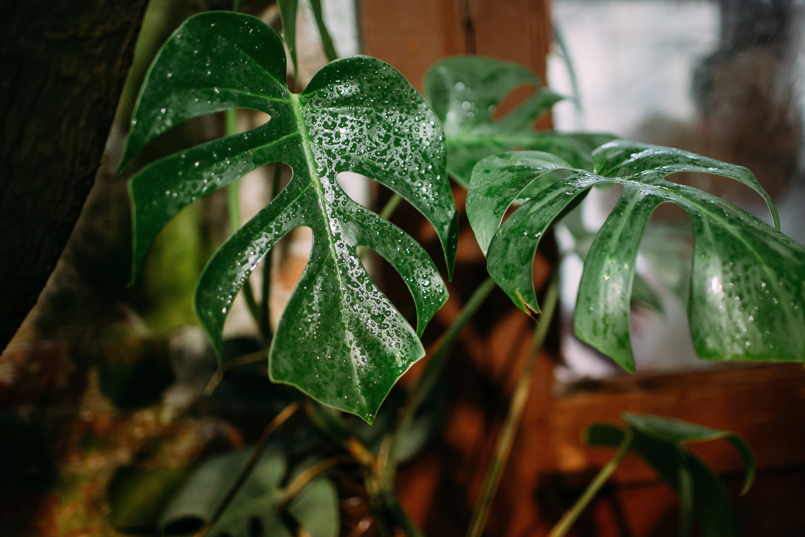 Романтика на двоих. Фотосъемка, свадебная фотосъемка, Москва, Нижний Новгород