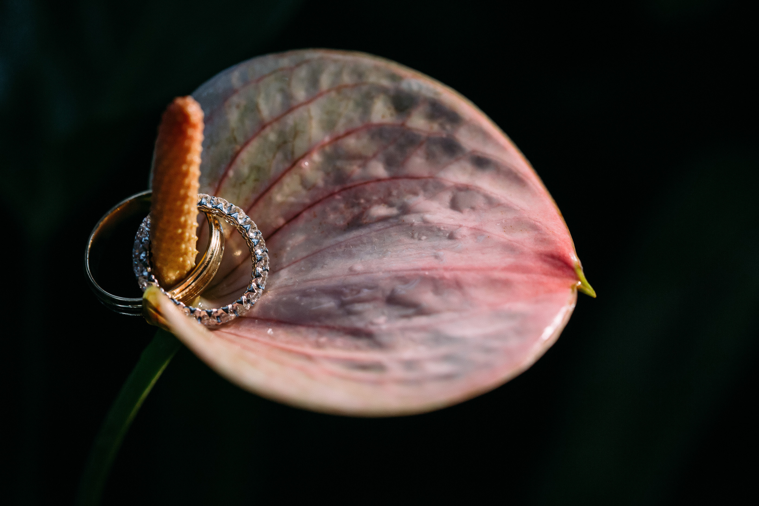 Романтика на двоих. Фотосъемка, свадебная фотосъемка, Москва, Нижний Новгород