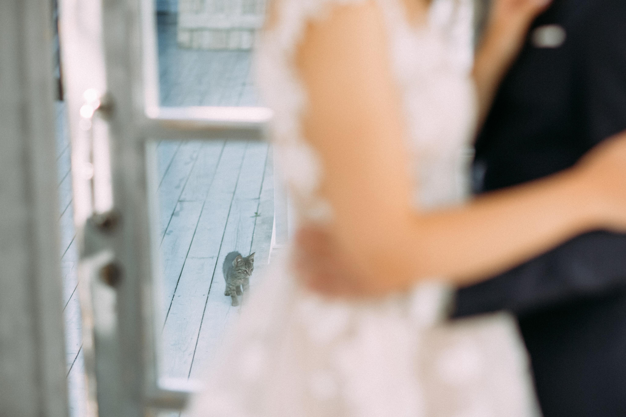 Солнечный праздник. Фотосъемка, свадебная фотосъемка, Москва, Нижний Новгород