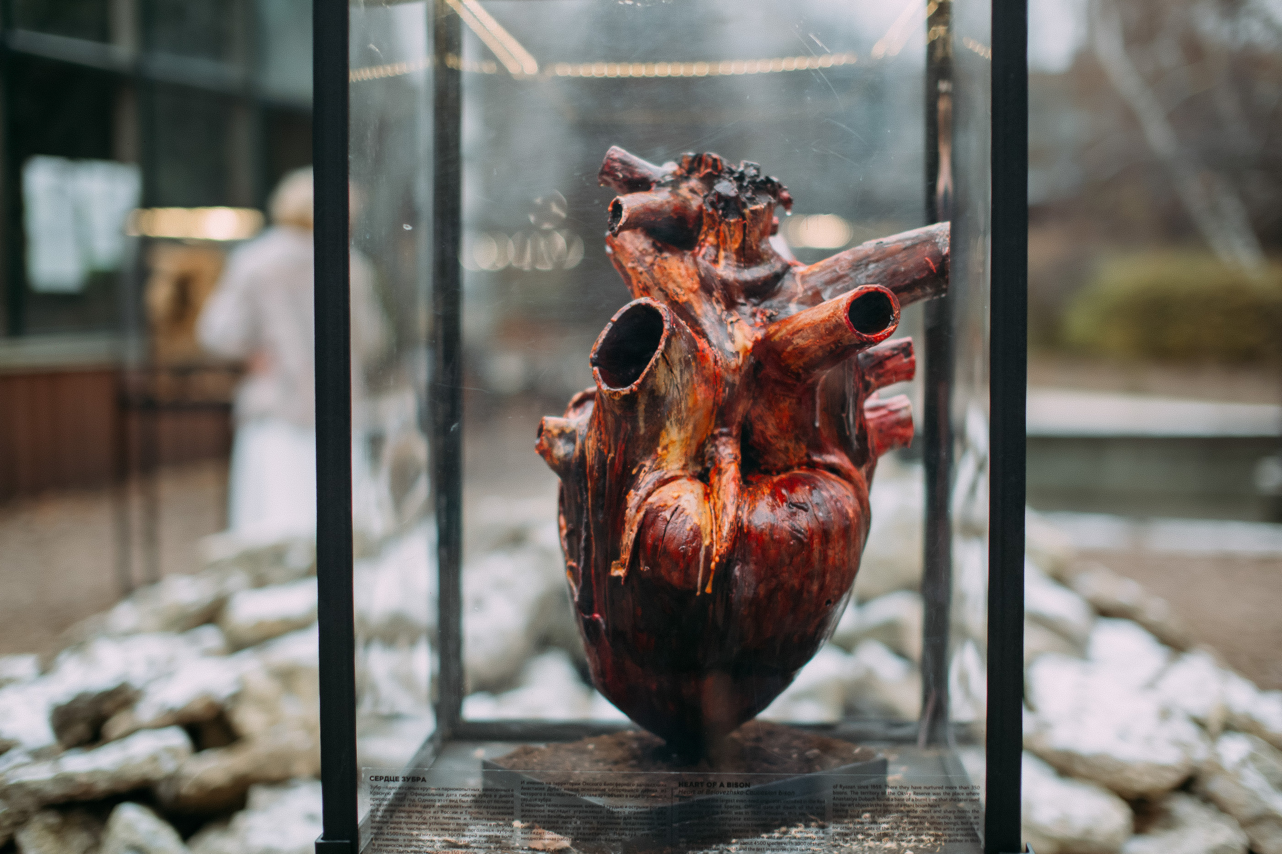 Романтика на двоих. Фотосъемка, свадебная фотосъемка, Москва, Нижний Новгород