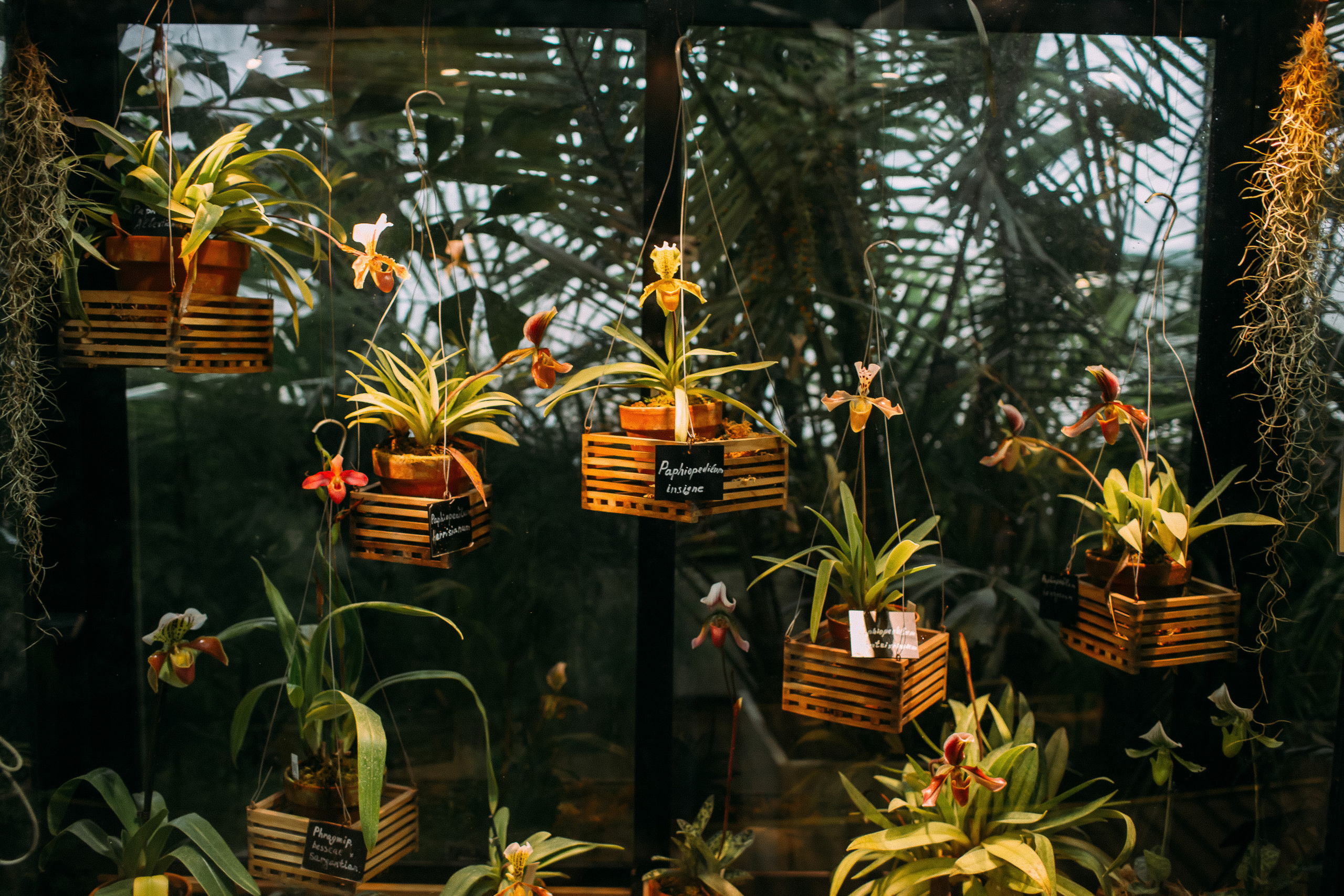 Романтика на двоих. Фотосъемка, свадебная фотосъемка, Москва, Нижний Новгород