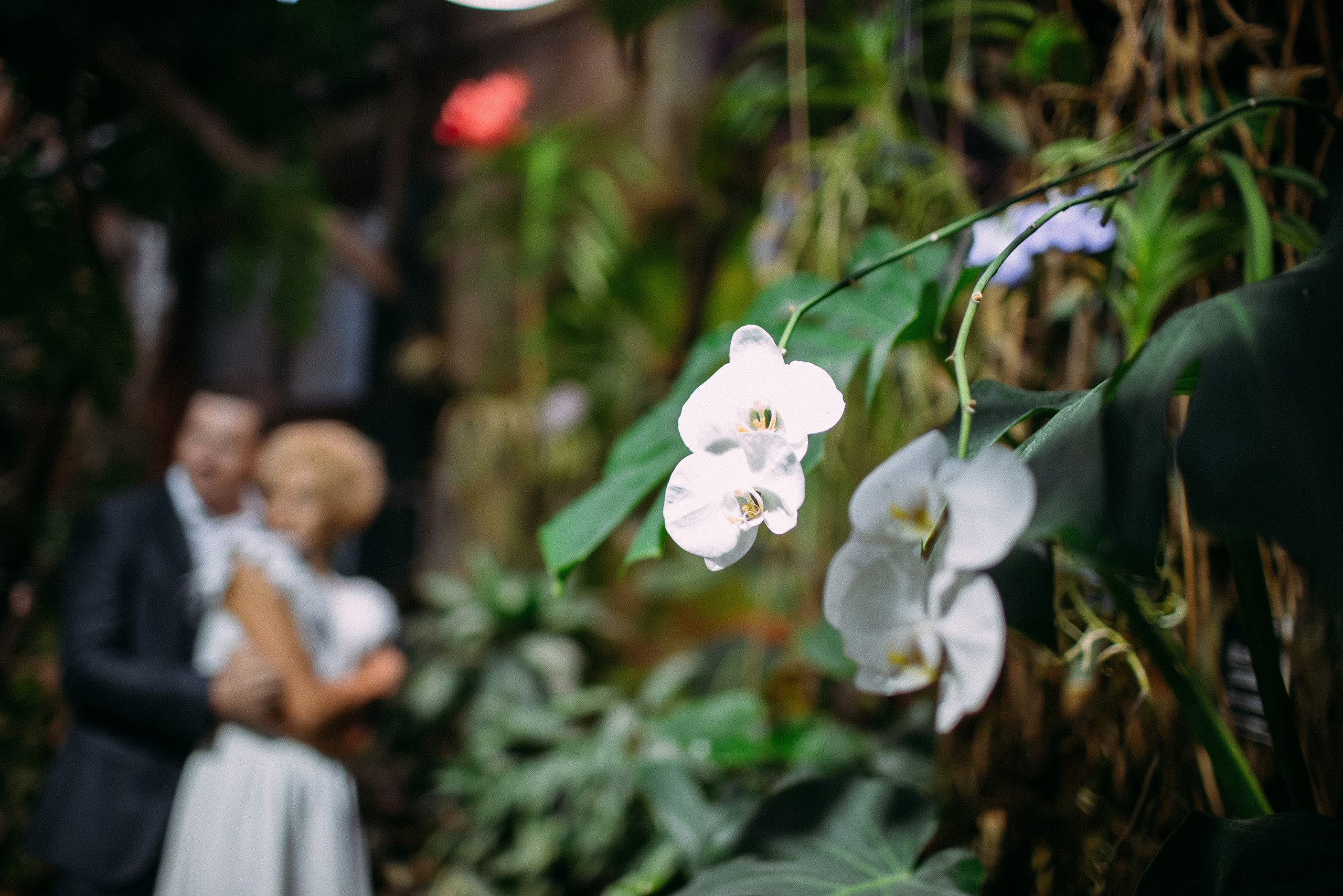 Романтика на двоих. Фотосъемка, свадебная фотосъемка, Москва, Нижний Новгород