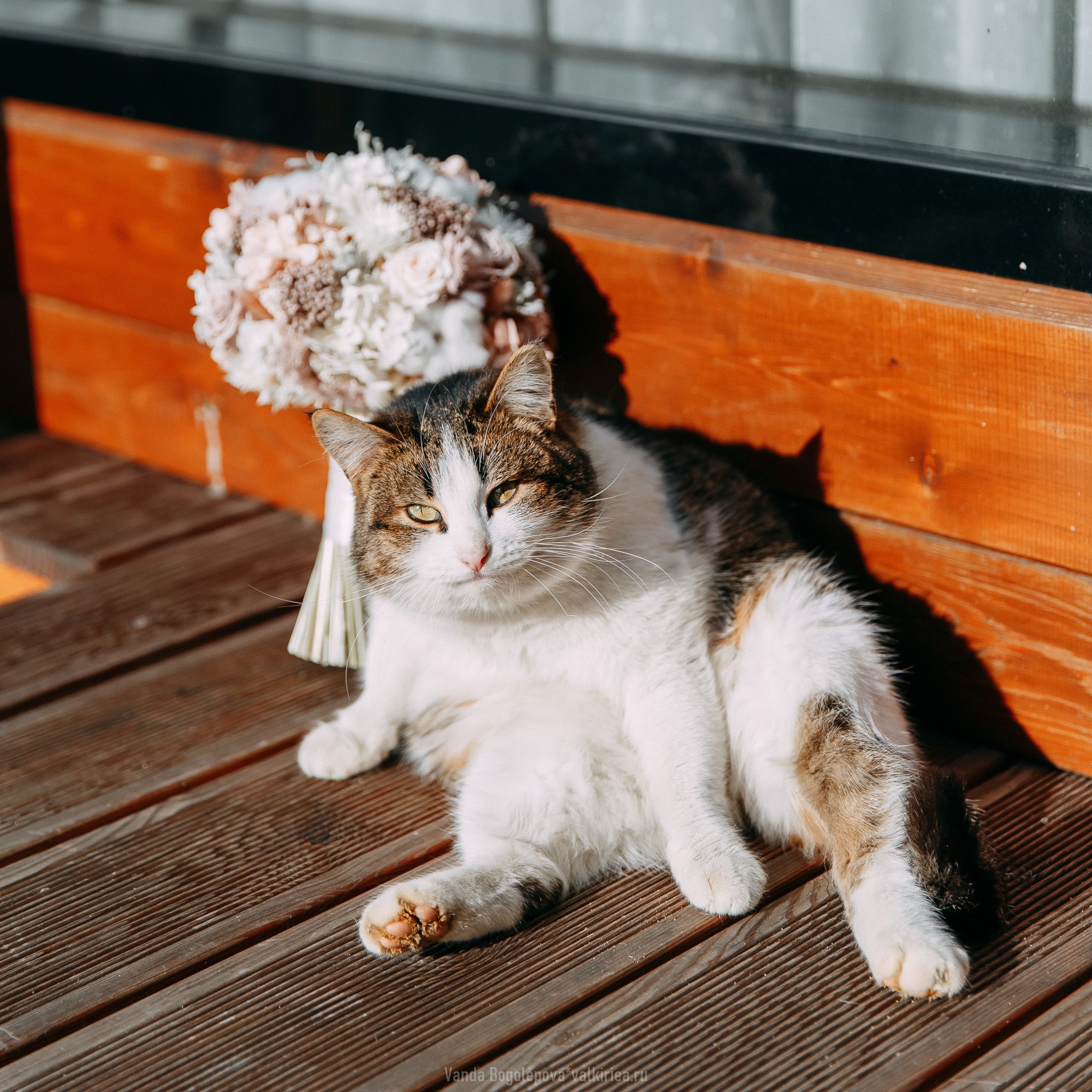 Кристина & Андрей. Фотосъемка, свадебная фотосъемка, Москва, Нижний Новгород