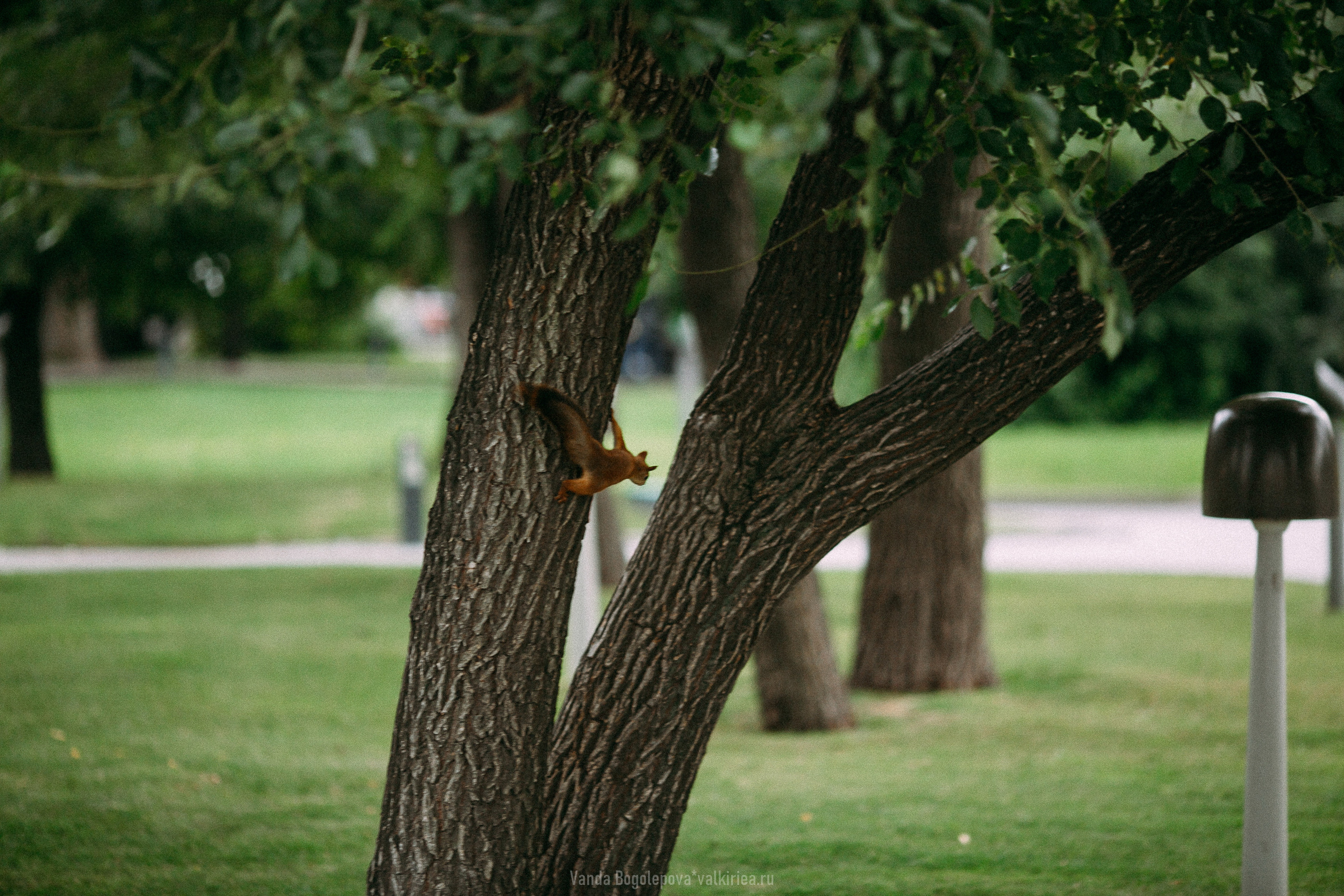 Нежная и трогательная свадьба. Фотосъемка, свадебная фотосъемка, Москва, Нижний Новгород