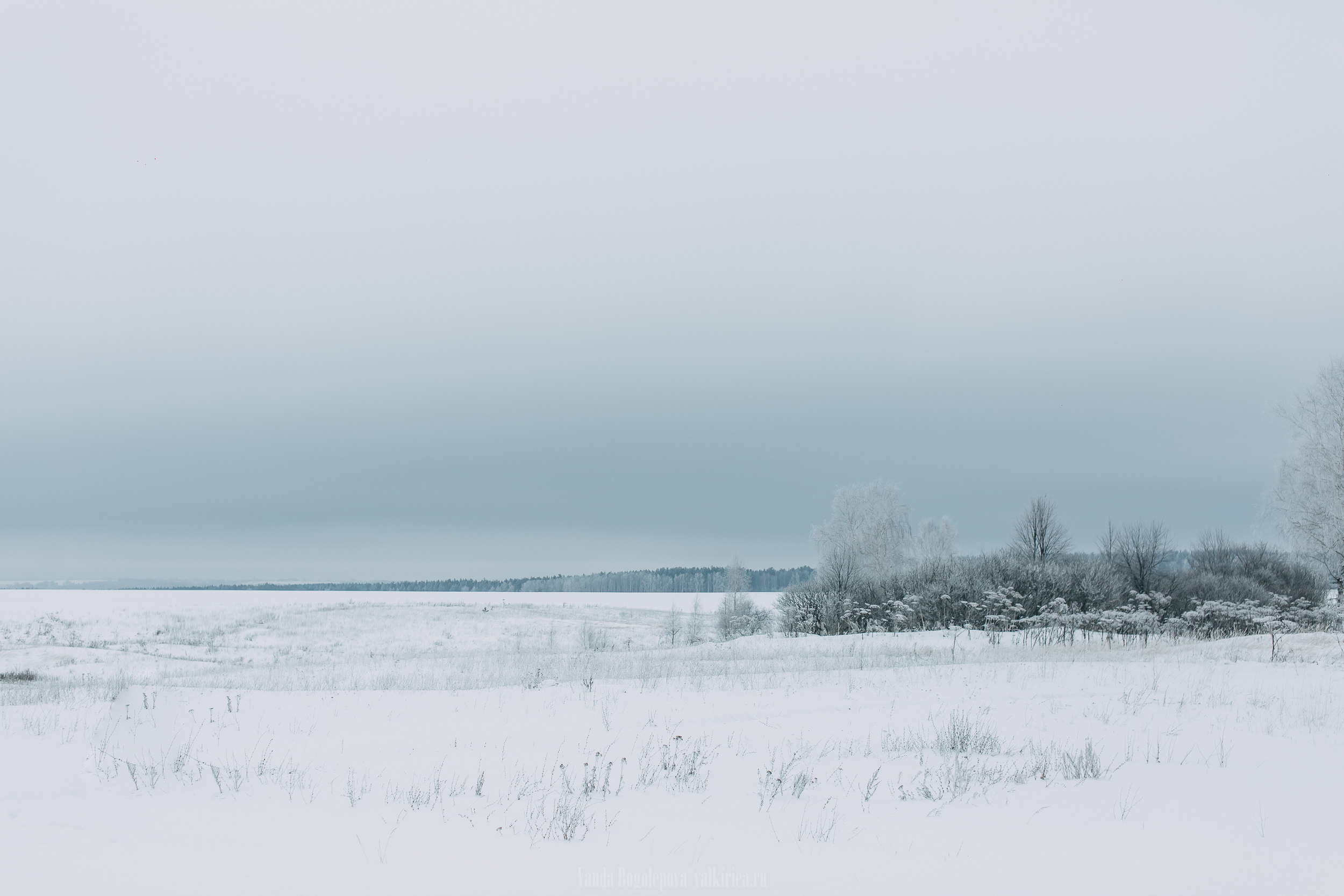 Кружево. Фотосъемка, свадебная фотосъемка, Москва, Нижний Новгород