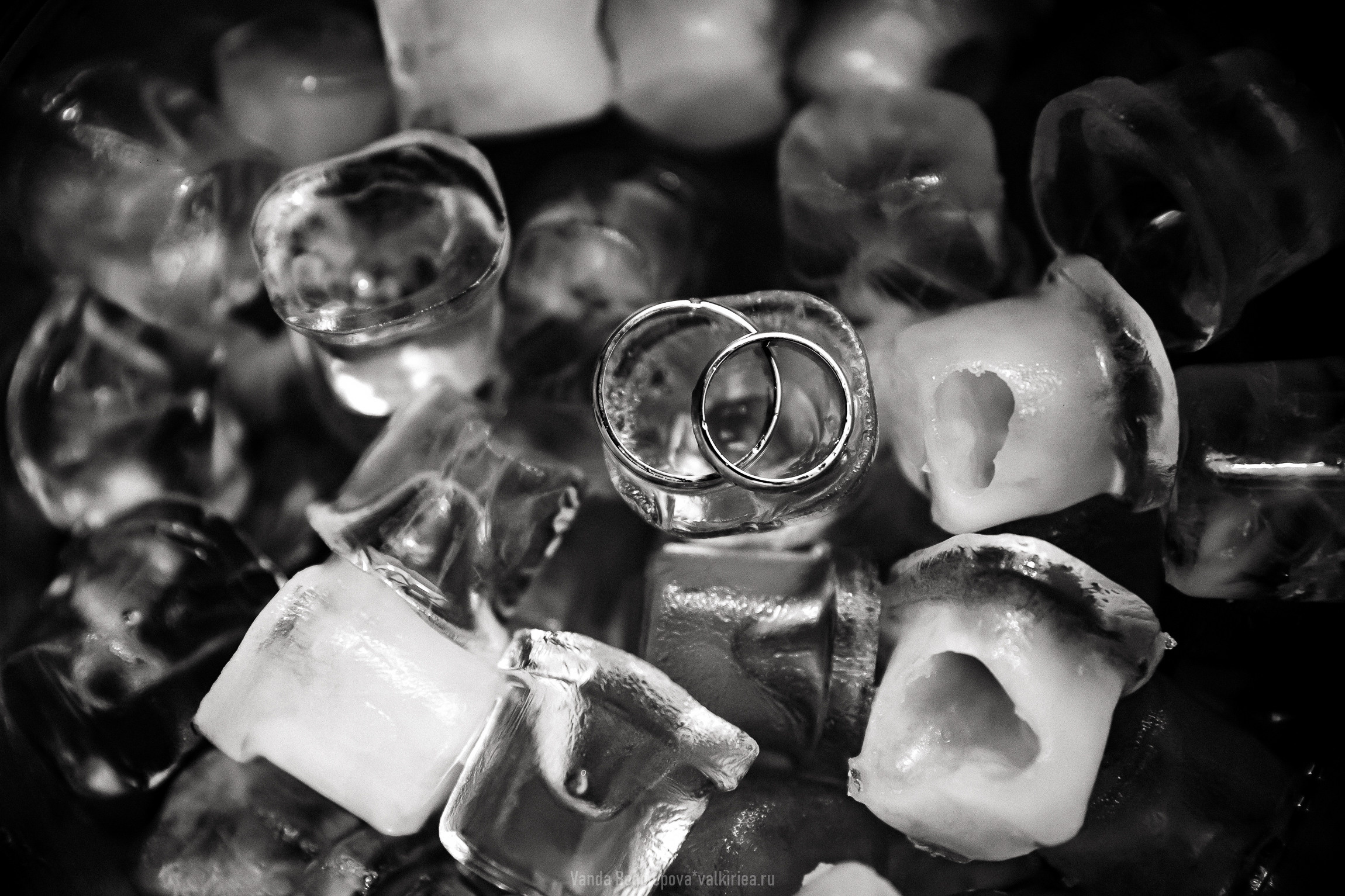 🌿Wedding Day🌿24.04.21🌿 Холодно — но стильно! 🌿. Фотосъемка, свадебная фотосъемка, Москва, Нижний Новгород