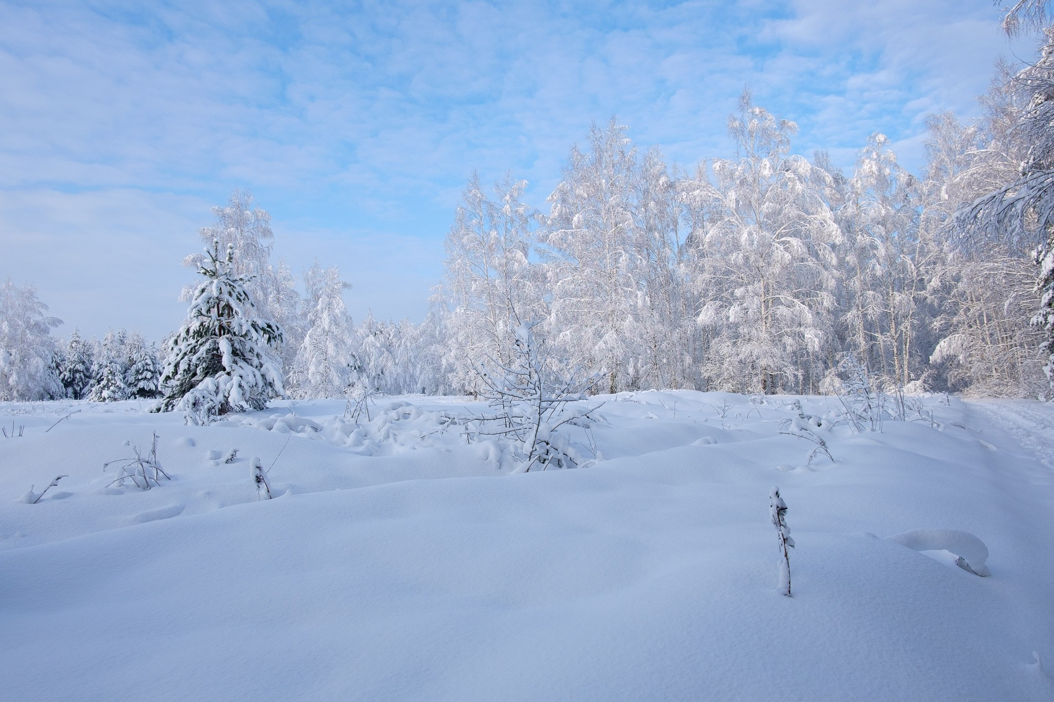Авторская фотография фотографа Бориса Флорина