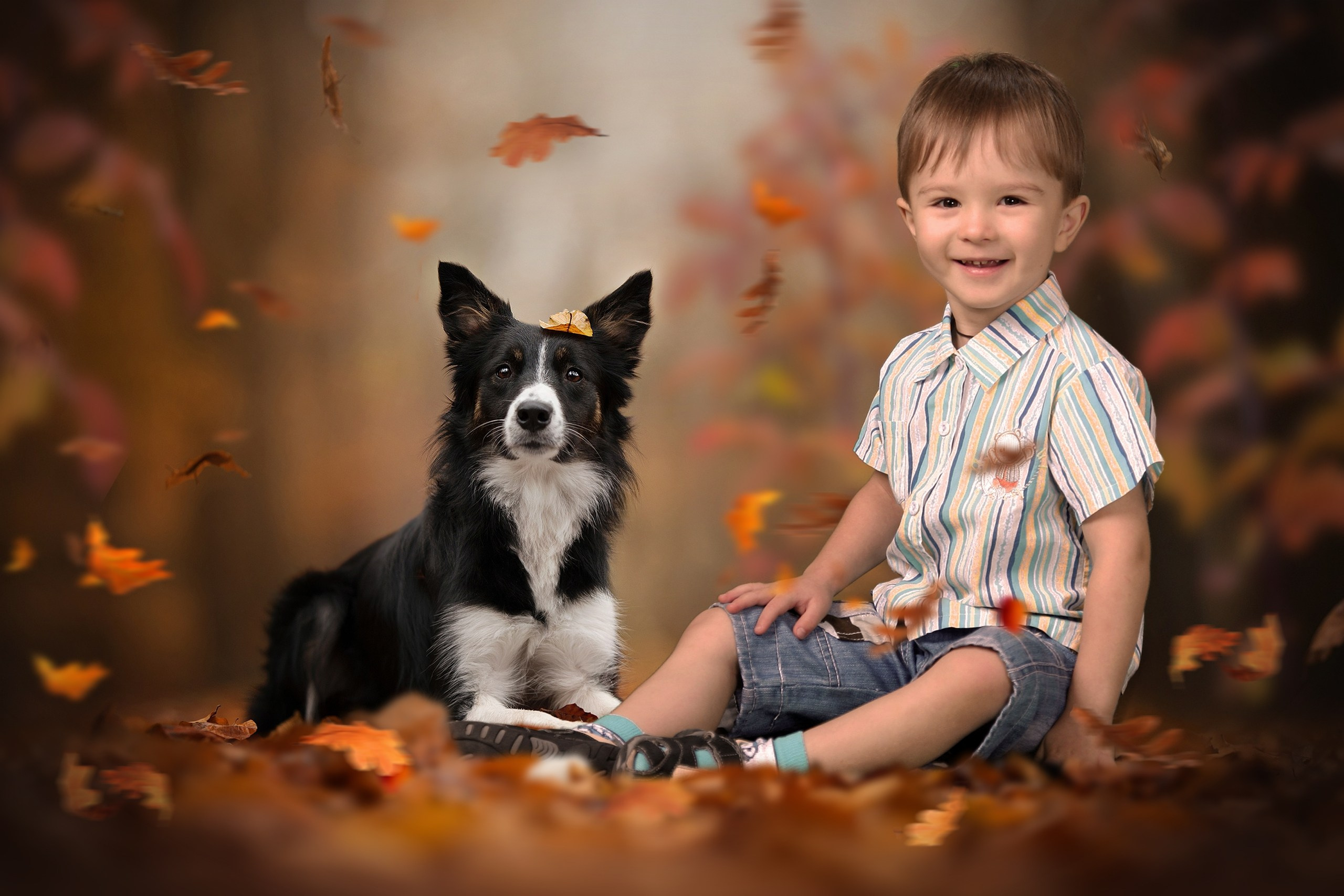 ОСЕНЬ. Выпускные фотокниги, фотосъемка, видеосъемка в Челябинске и области