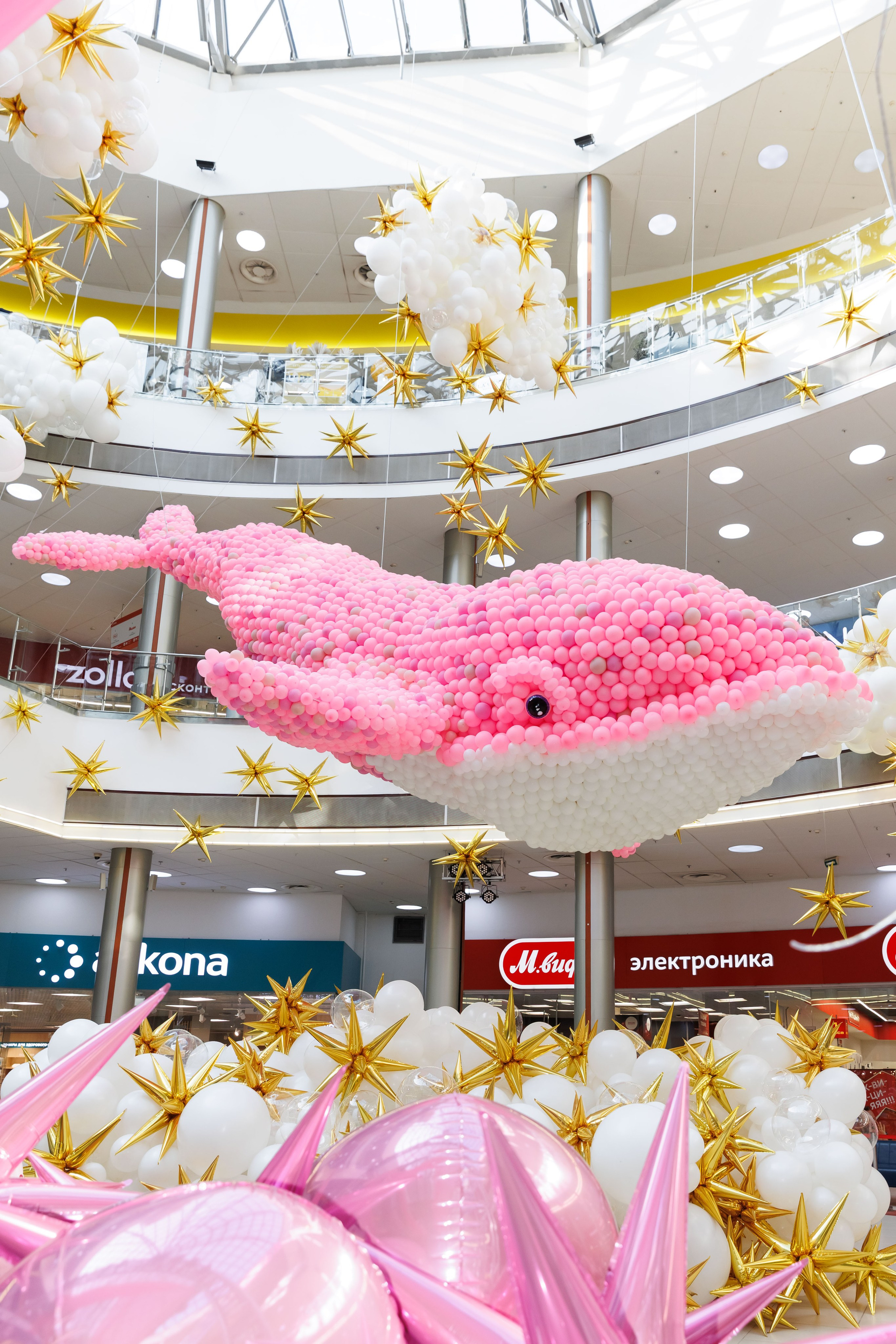 Умная весна 2025. Фотограф Новосибирск — Наталья Гресь