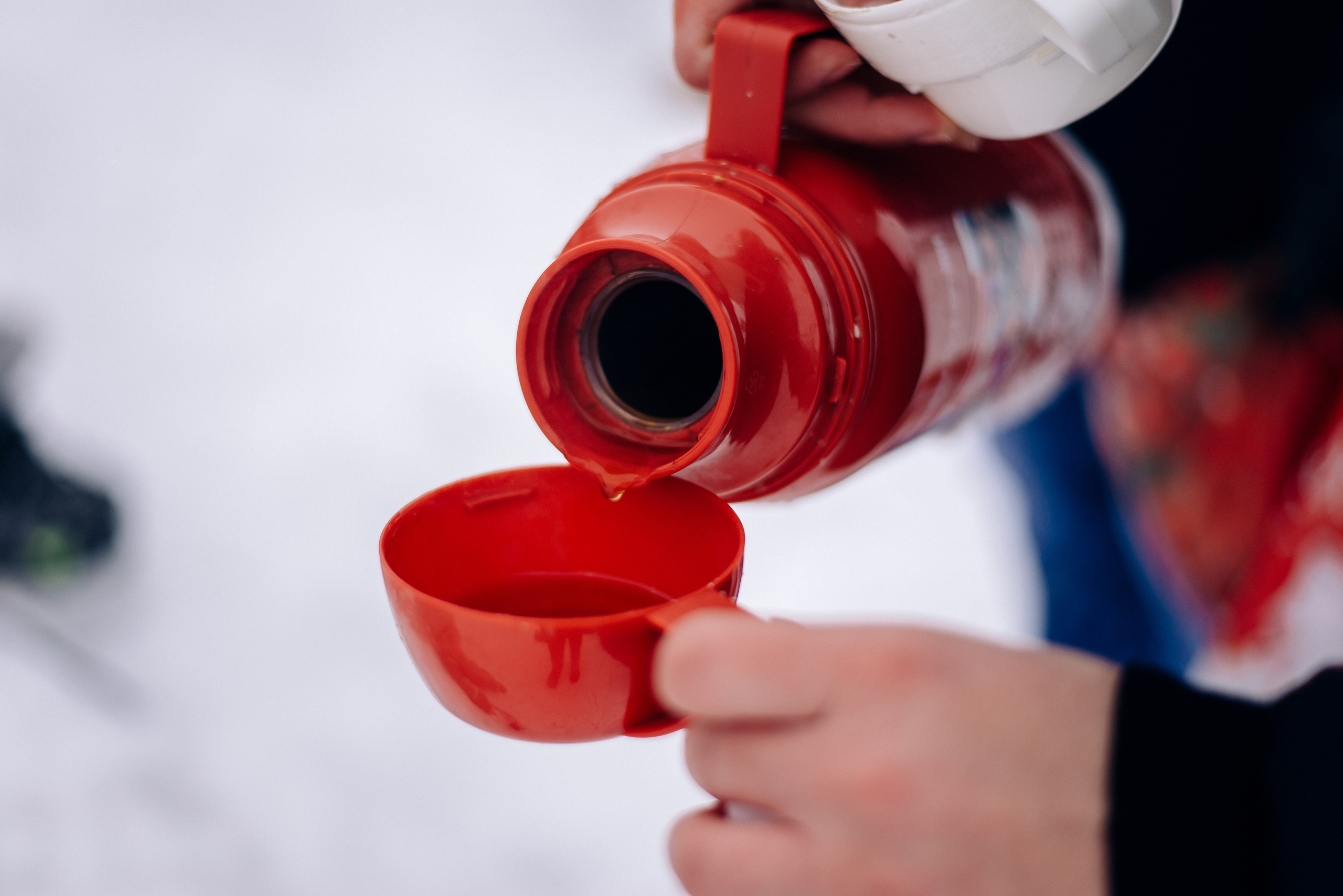 Коньки. Фотограф — МАРИЯ МЕДВЕДЕВА