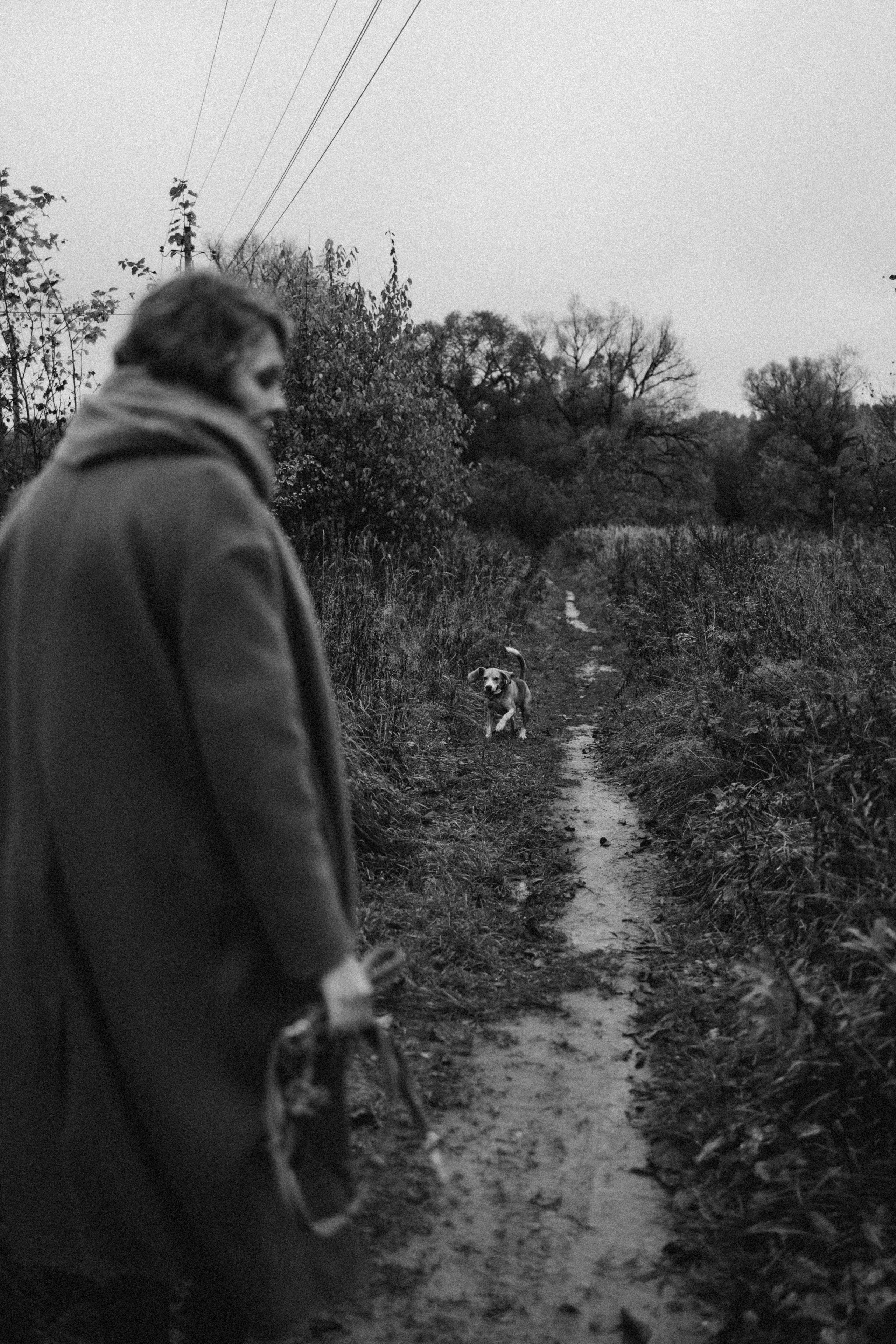 Лена и Тайгер. Фотограф — Анималист | Санкт-Петербург