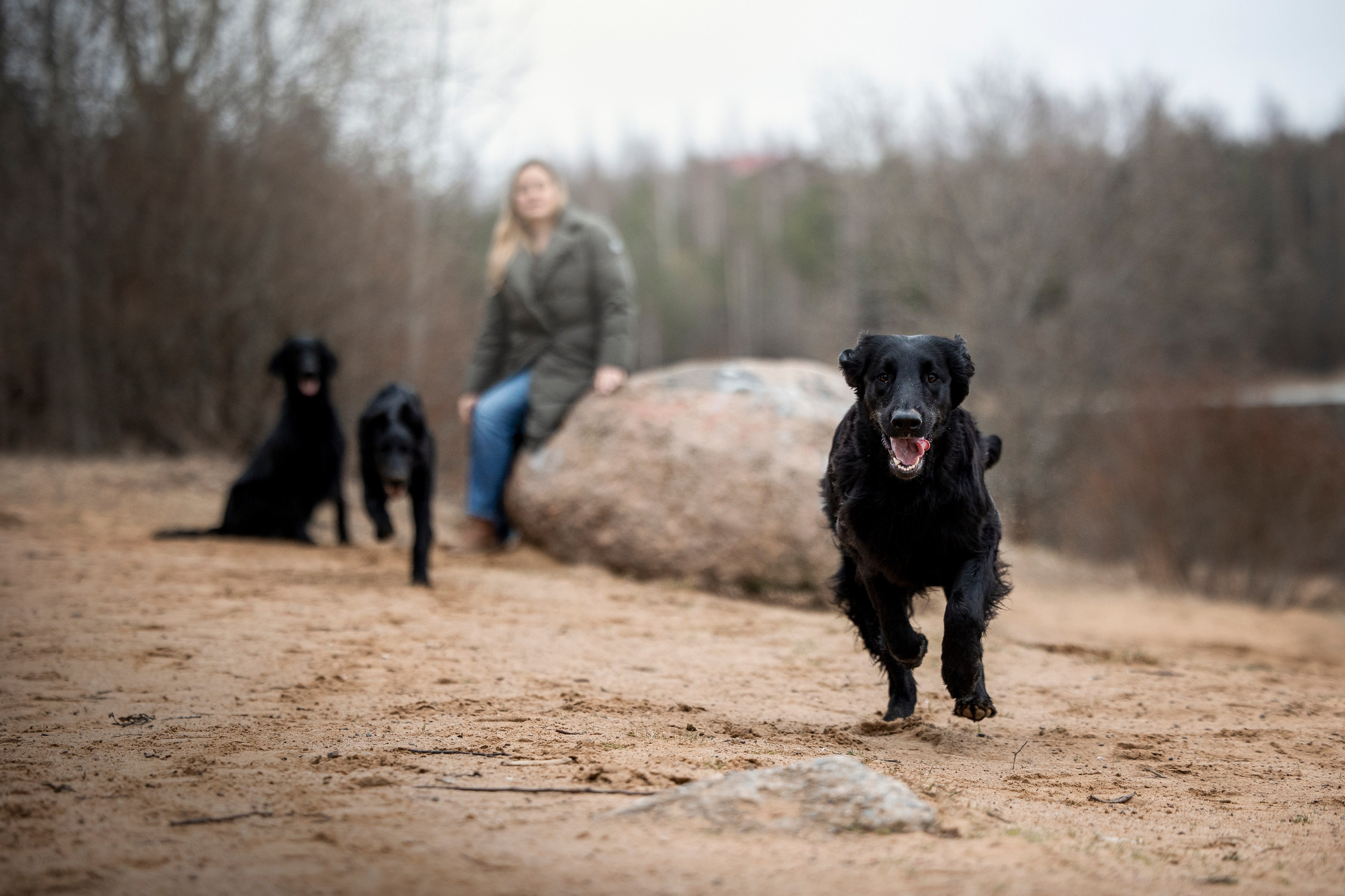 Ора, Ева, Рози и их семья. Фотограф — Анималист | Санкт-Петербург