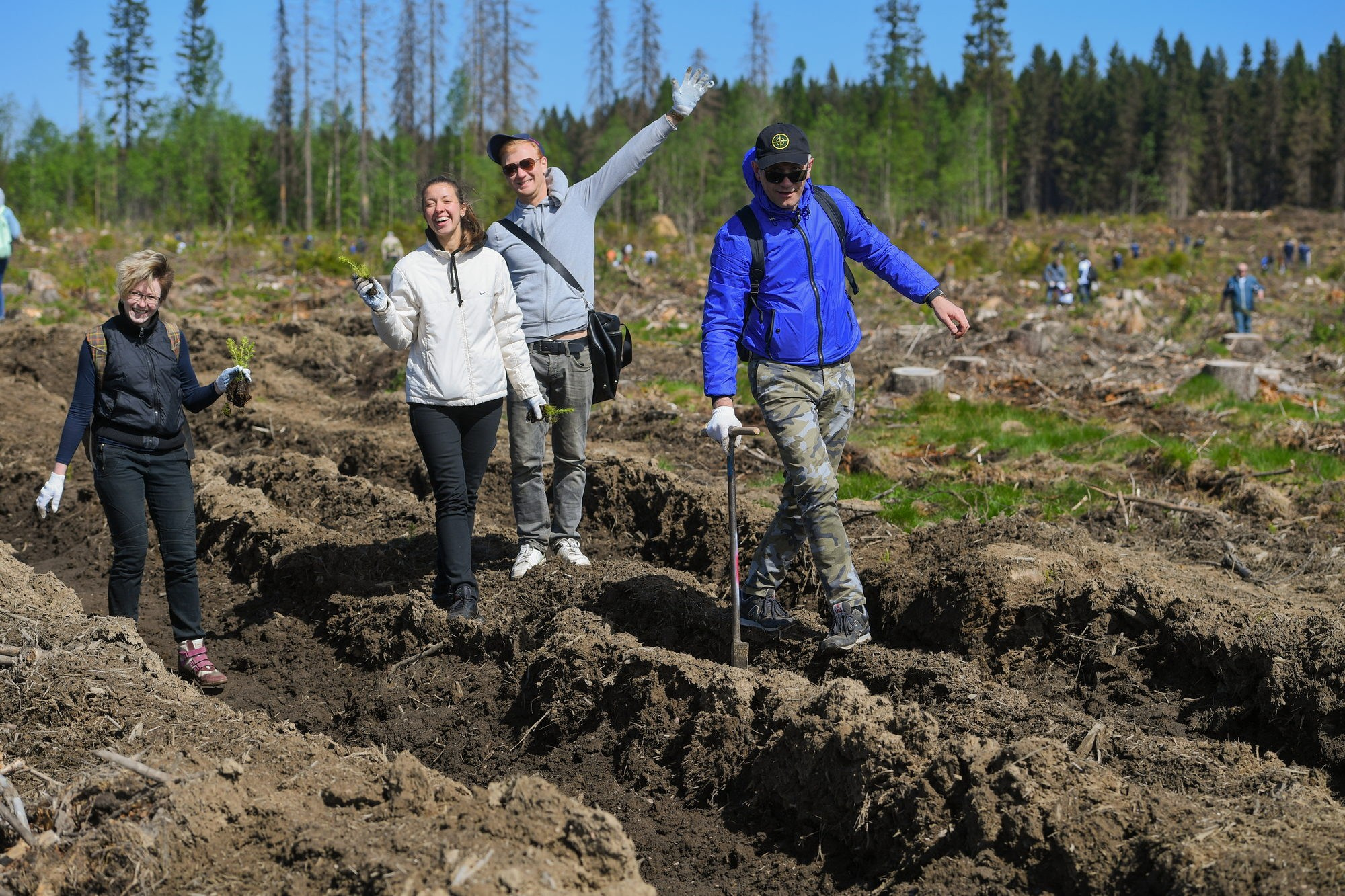 Высадка леса. Документальный фотограф Сергей Вдовин