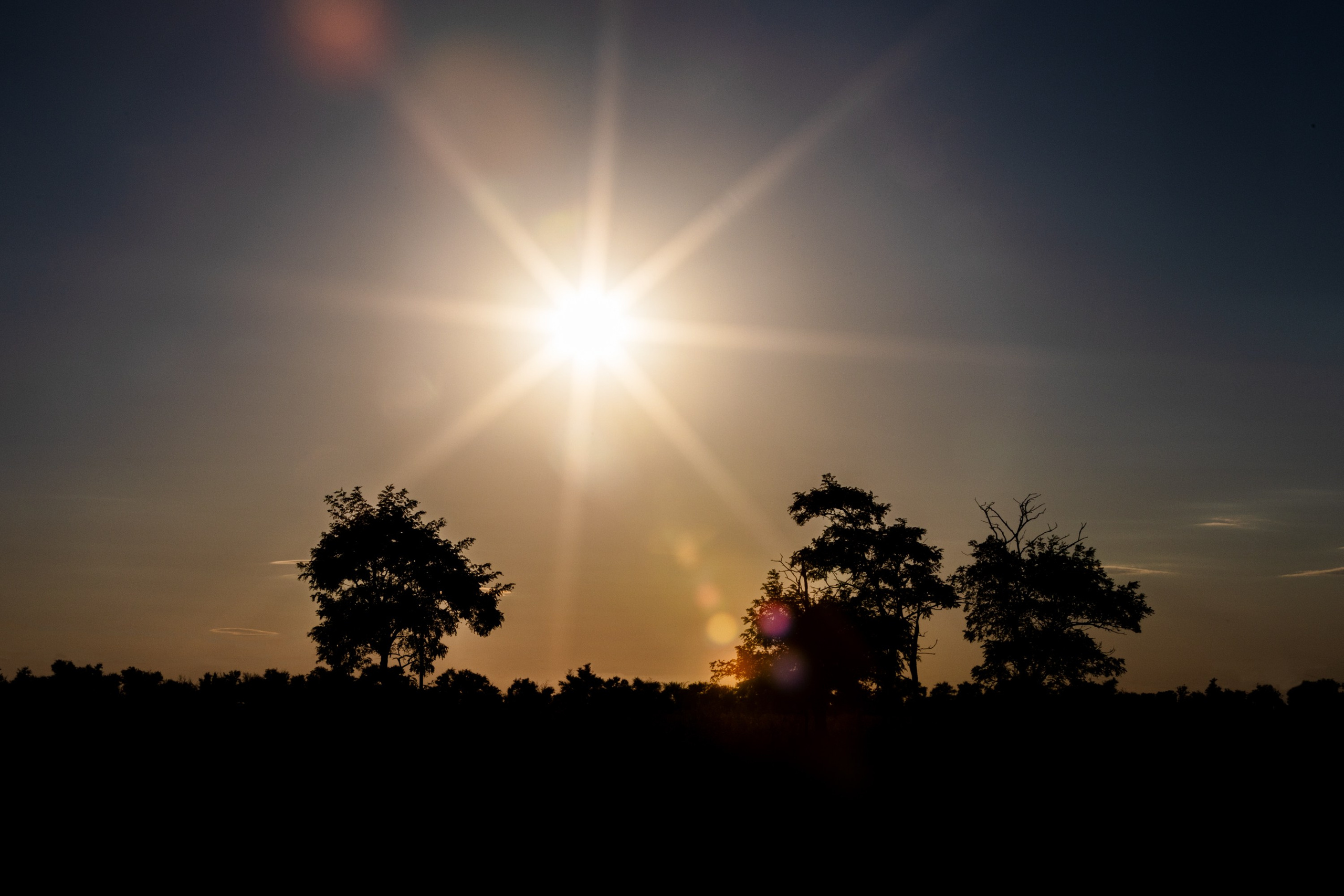 Элиста. Фотограф Владимир Охрименко