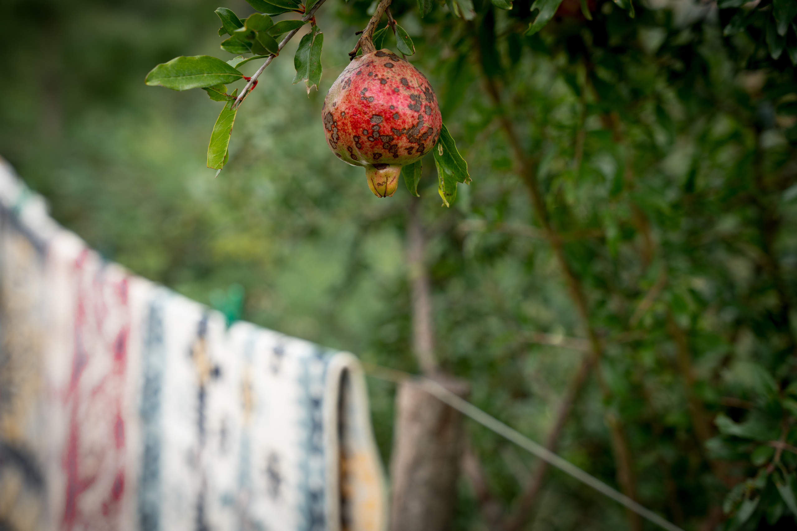 ГРУЗИЯ. ПОБУДЬ ЗДЕСЬ И ЦЕЛЕЕ БУДЕТ ЭТОТ МИР