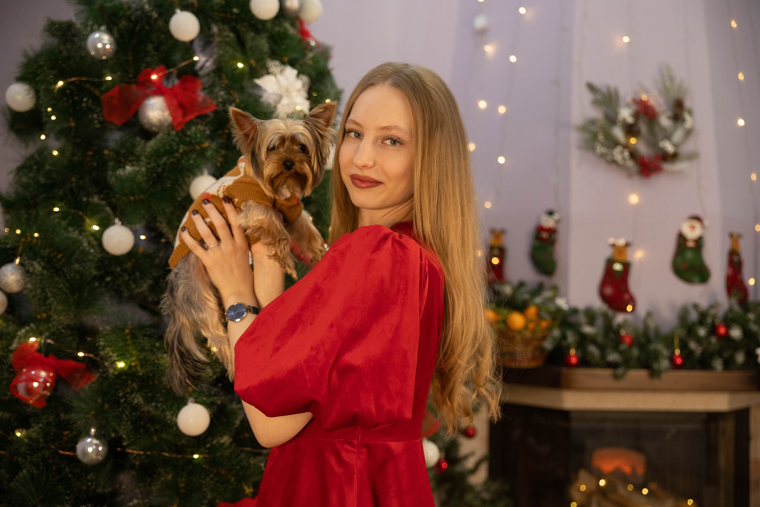 Новогодняя. Александра и Бублик. Фотограф Лапочкина Татьяна