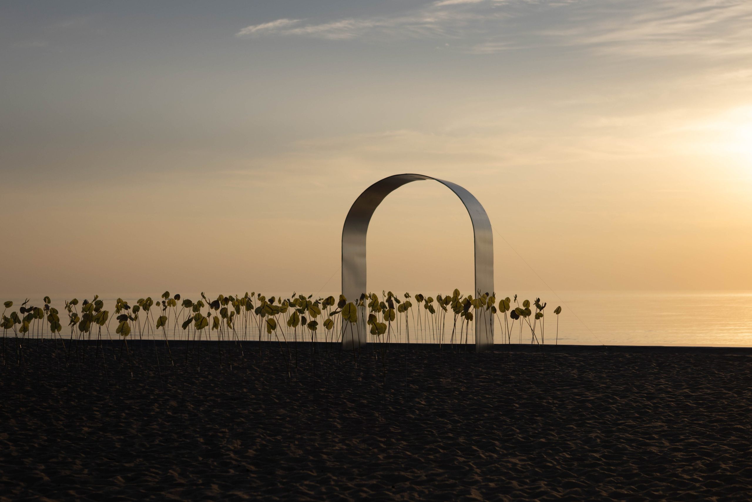 NA KRAYU SVETA. Свадебный и love-story фотограф в Санкт-Петербурге Воронова Лолита