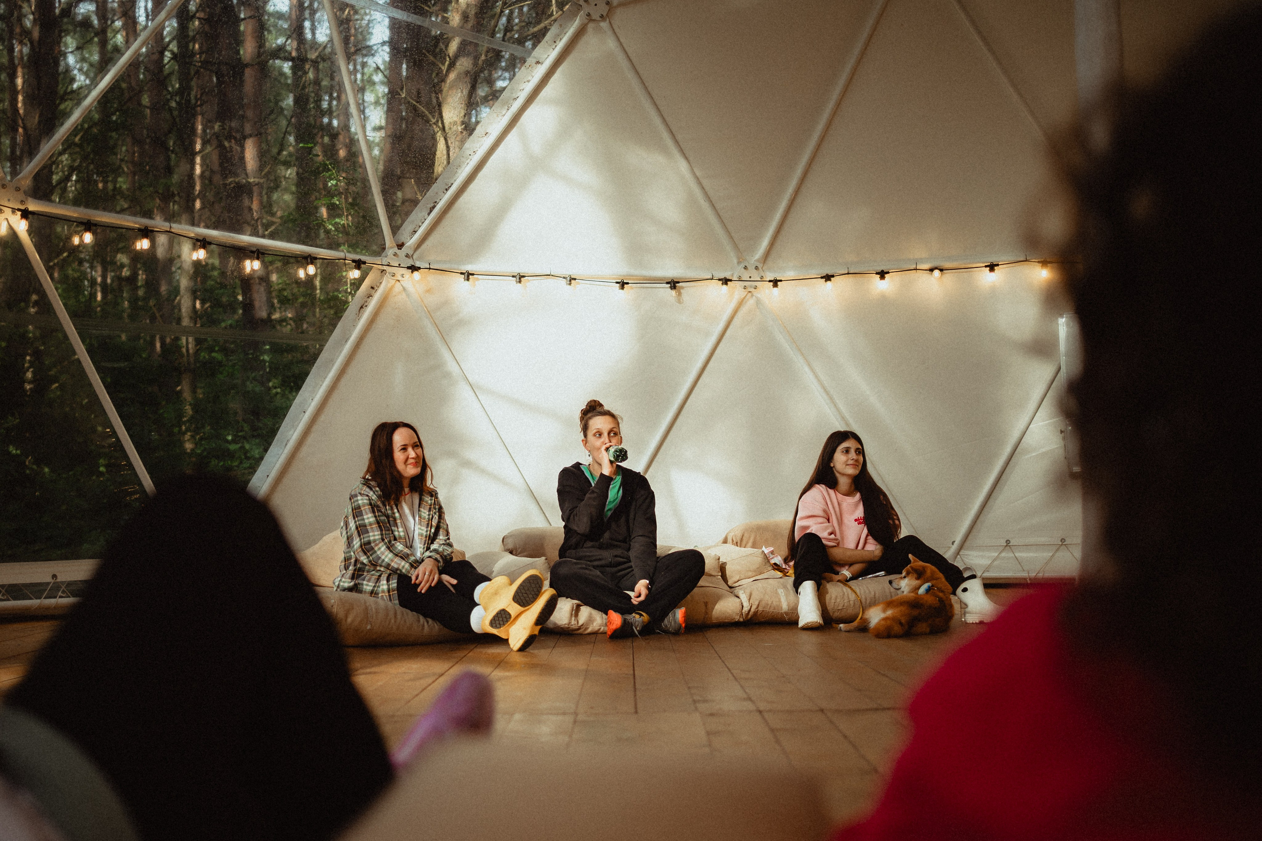 Выездной дог-тренинг от школы «Шерсть имею»