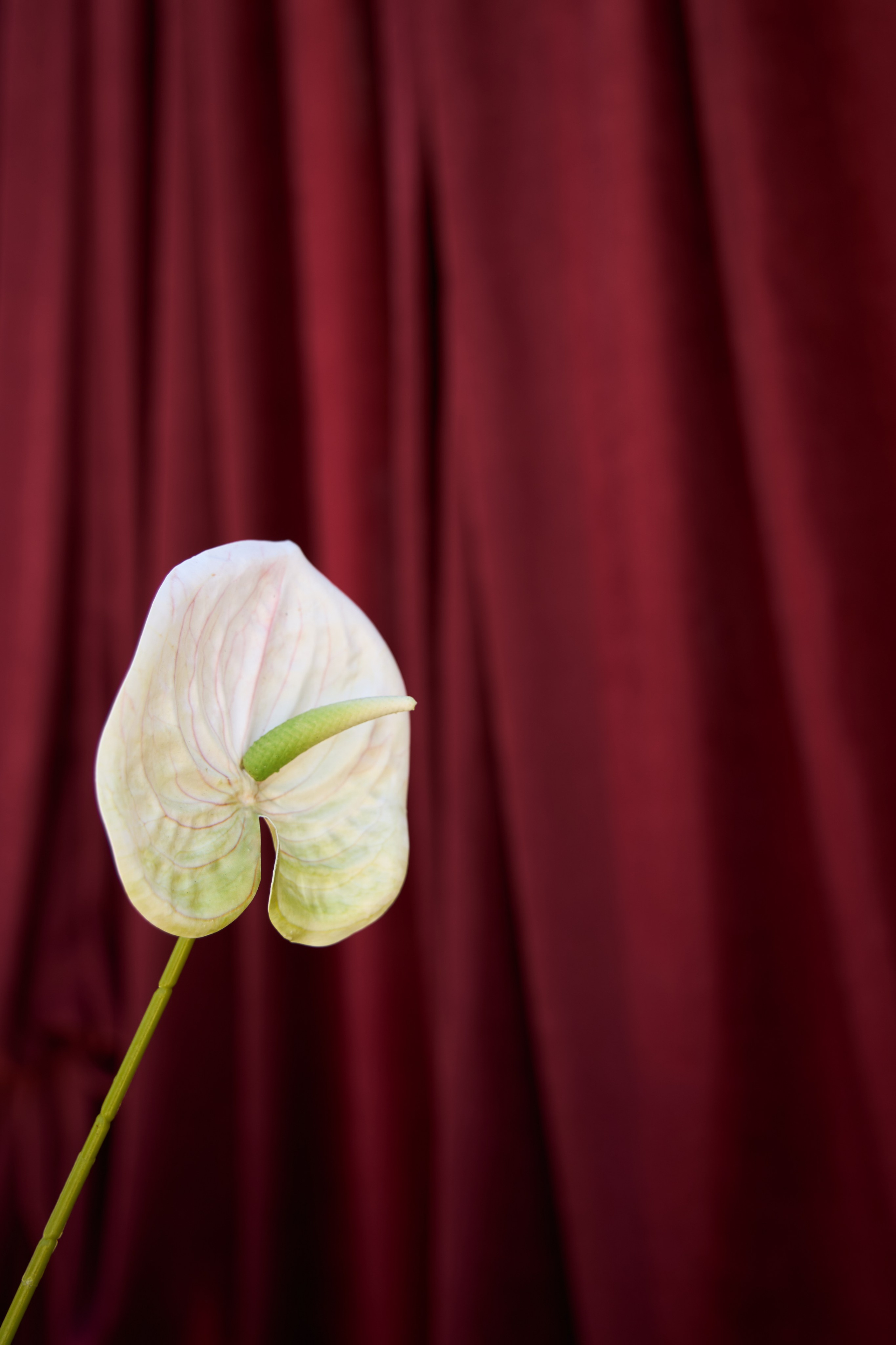 Wedding day | Вячеслав и Карелия