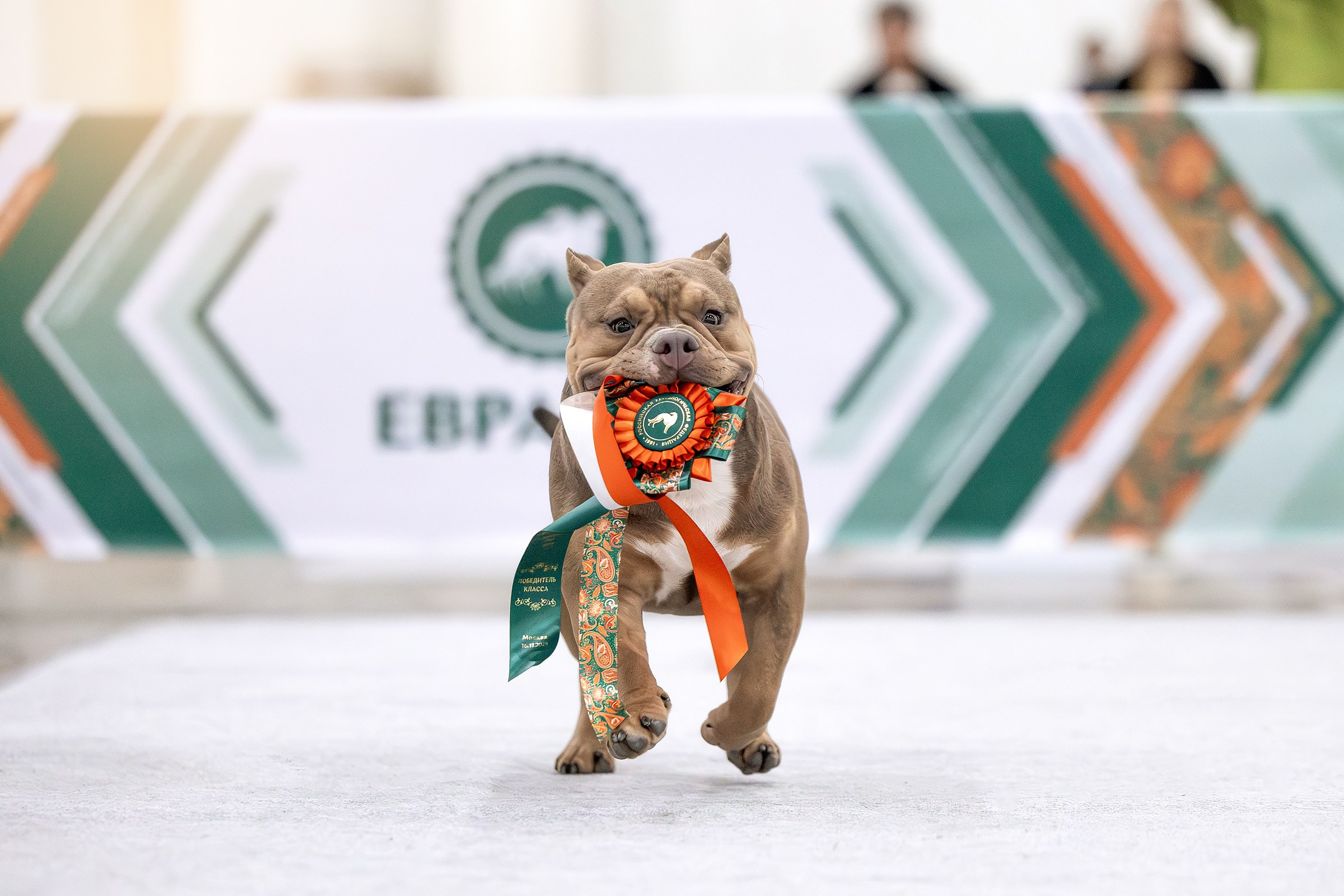 Услуги. Htykk_photo