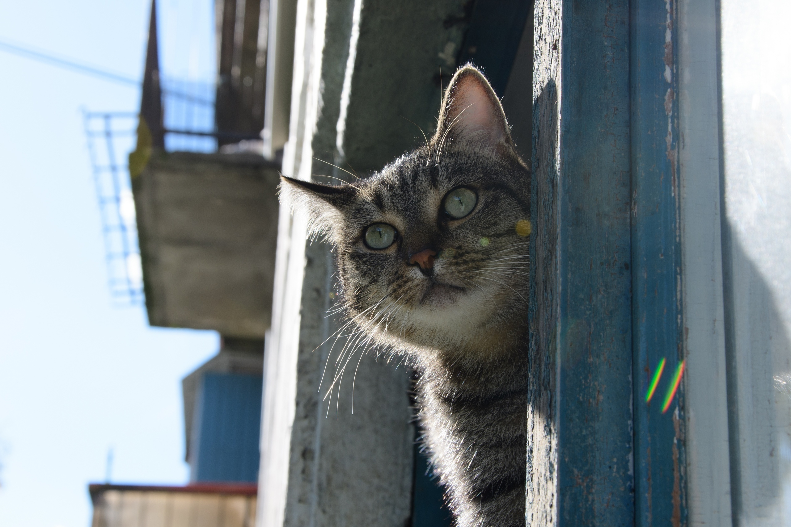 Фотосет: По ту сторону окна. Семейный и индивидуальный фотограф Life style в Санкт-Петербурге Мария