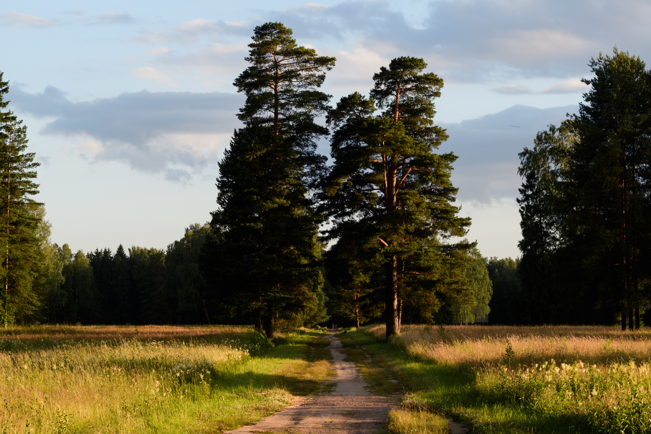 Пейзажи. Семейный и индивидуальный фотограф Life style в Санкт-Петербурге Мария