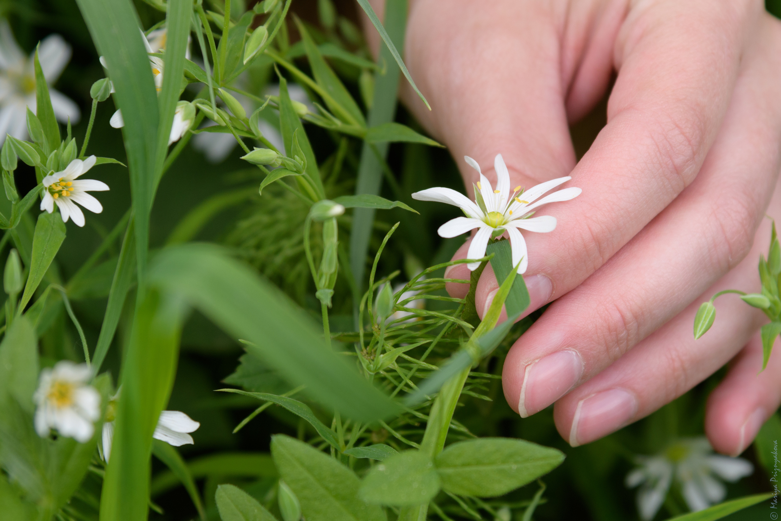 Условия фотосъемки. Семейный и индивидуальный фотограф Life style в Санкт-Петербурге Мария