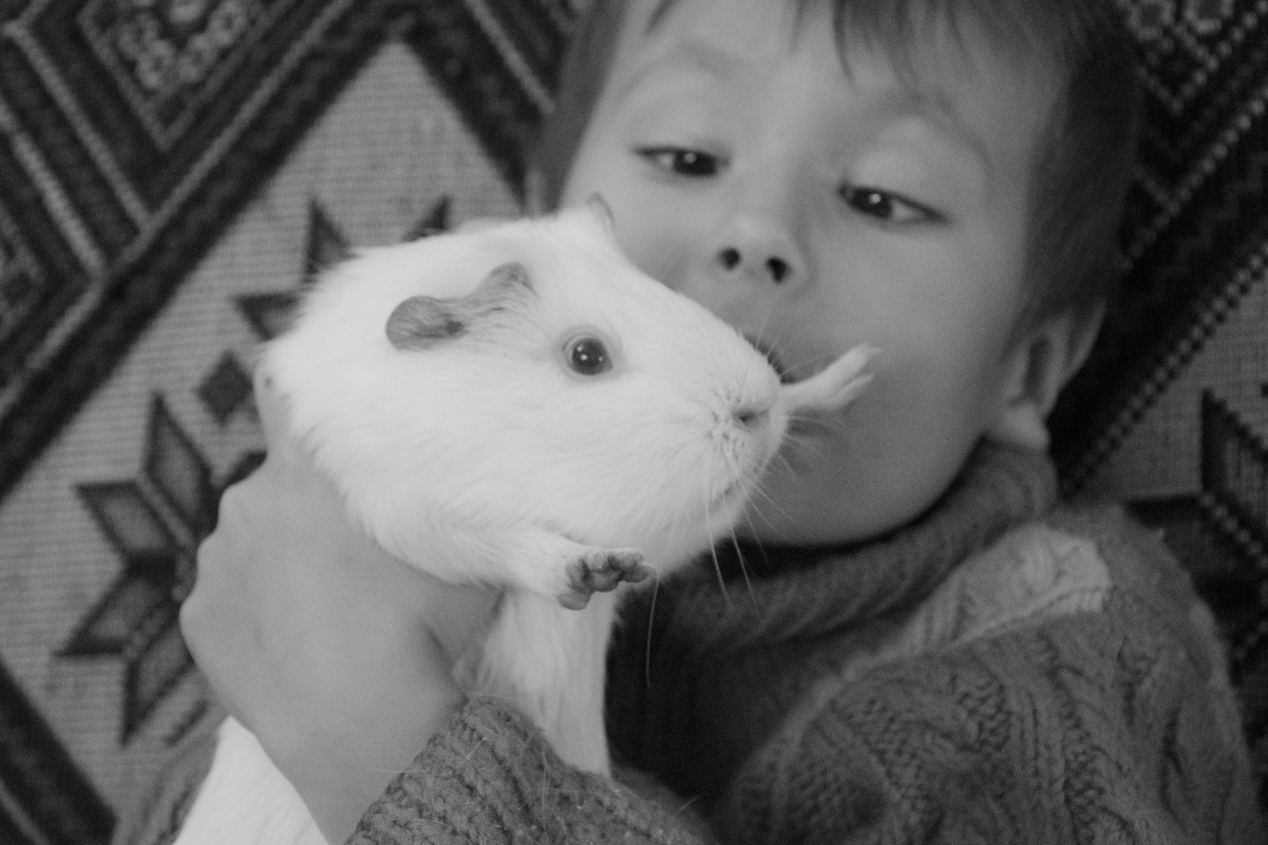 Домашние питомцы. Семейный и индивидуальный фотограф Life style в Санкт-Петербурге Мария