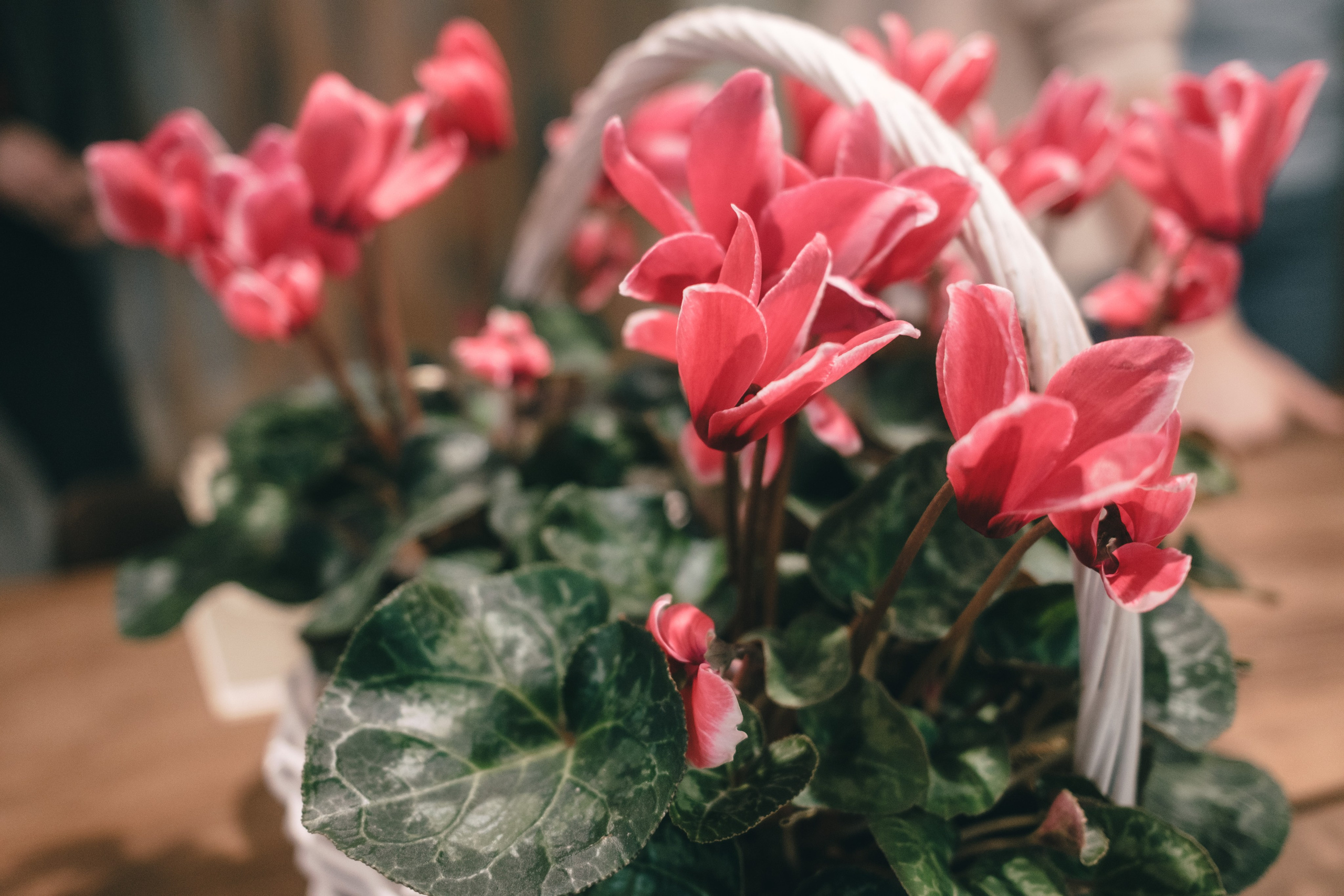 Библейский завтрак 25.03.2025. Фотограф в Москве Максим Скоробогатов