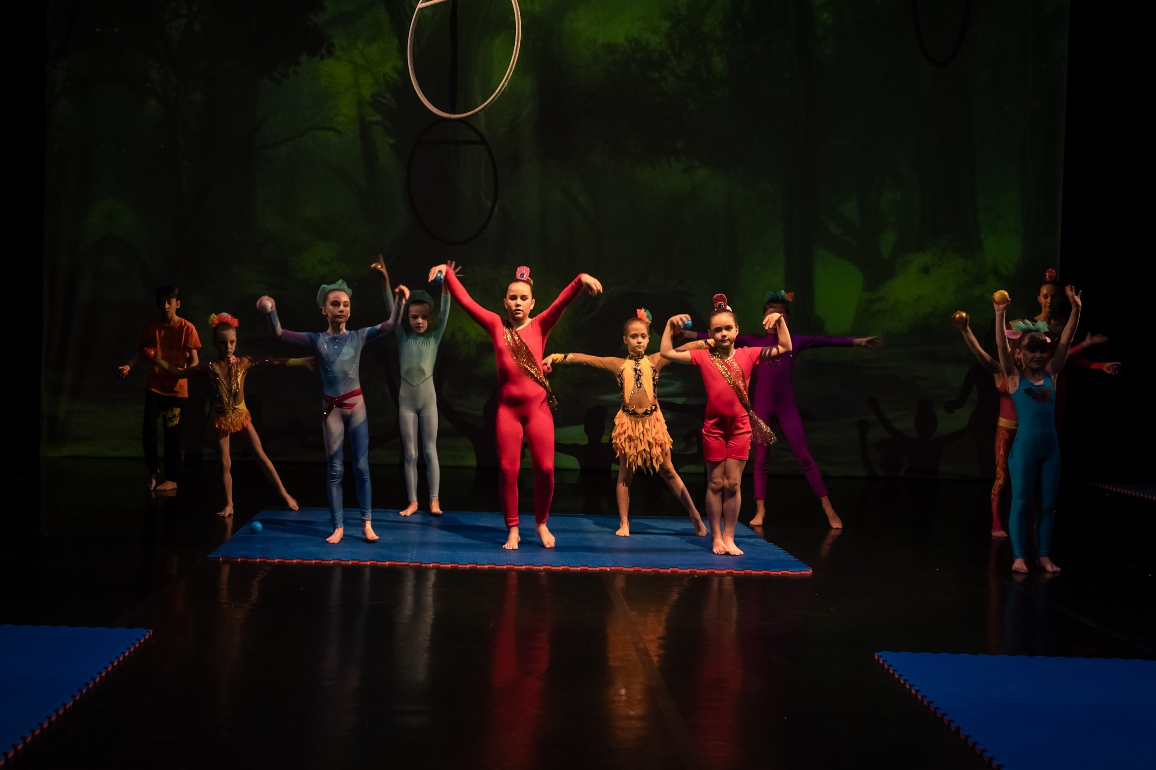 Отчетное выступление студии воздушной гимнастики Sport Evolution. Свадебный и семейный фотограф София Невская