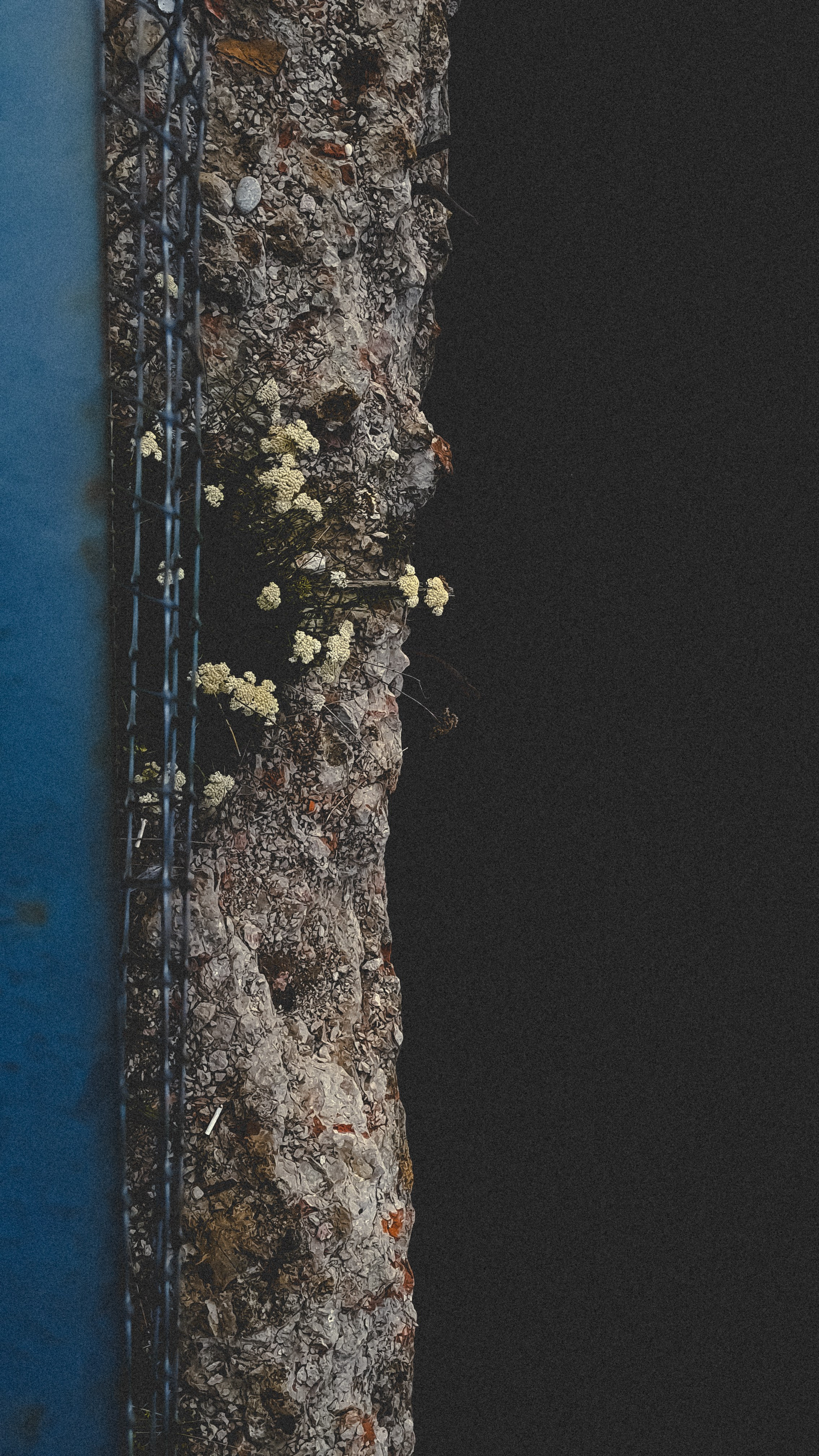 Gallery «OUT». Artista Nazarova. Universe strings singing