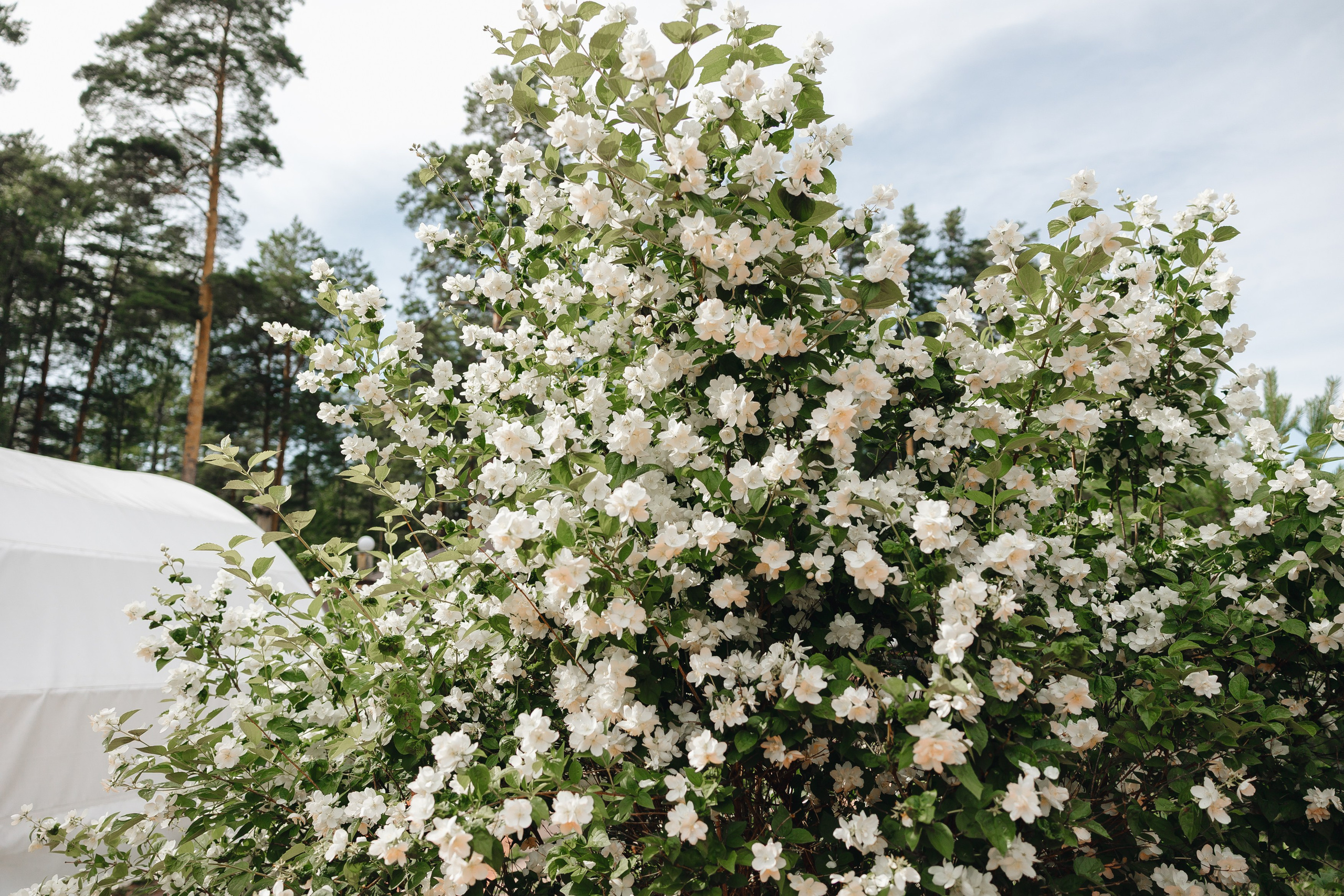 М&А. Фотограф Полещук Денис. Екатеринбург
