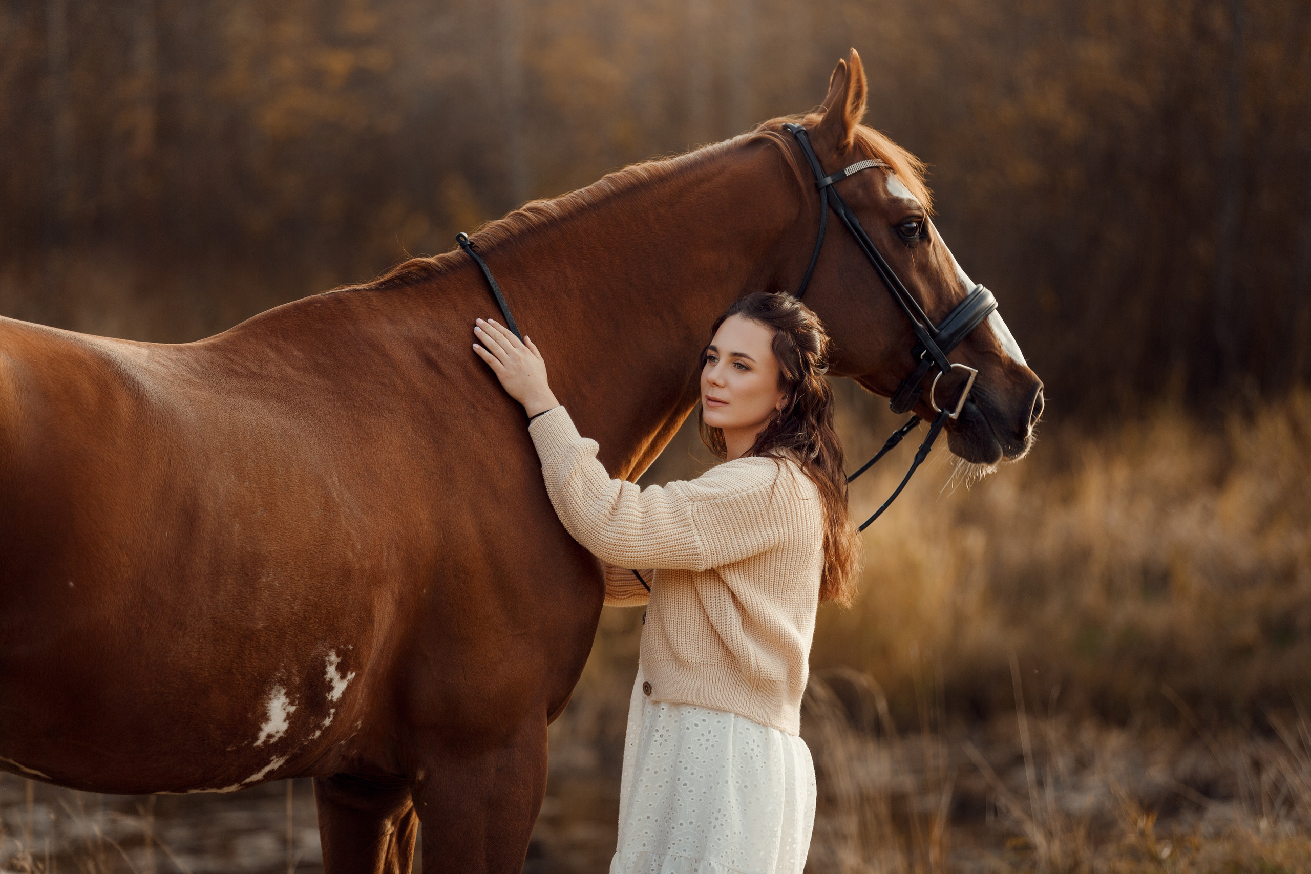Фотосессии с лошадьми. Фотограф Артемьева Катерина|фотосессии с лошадьми