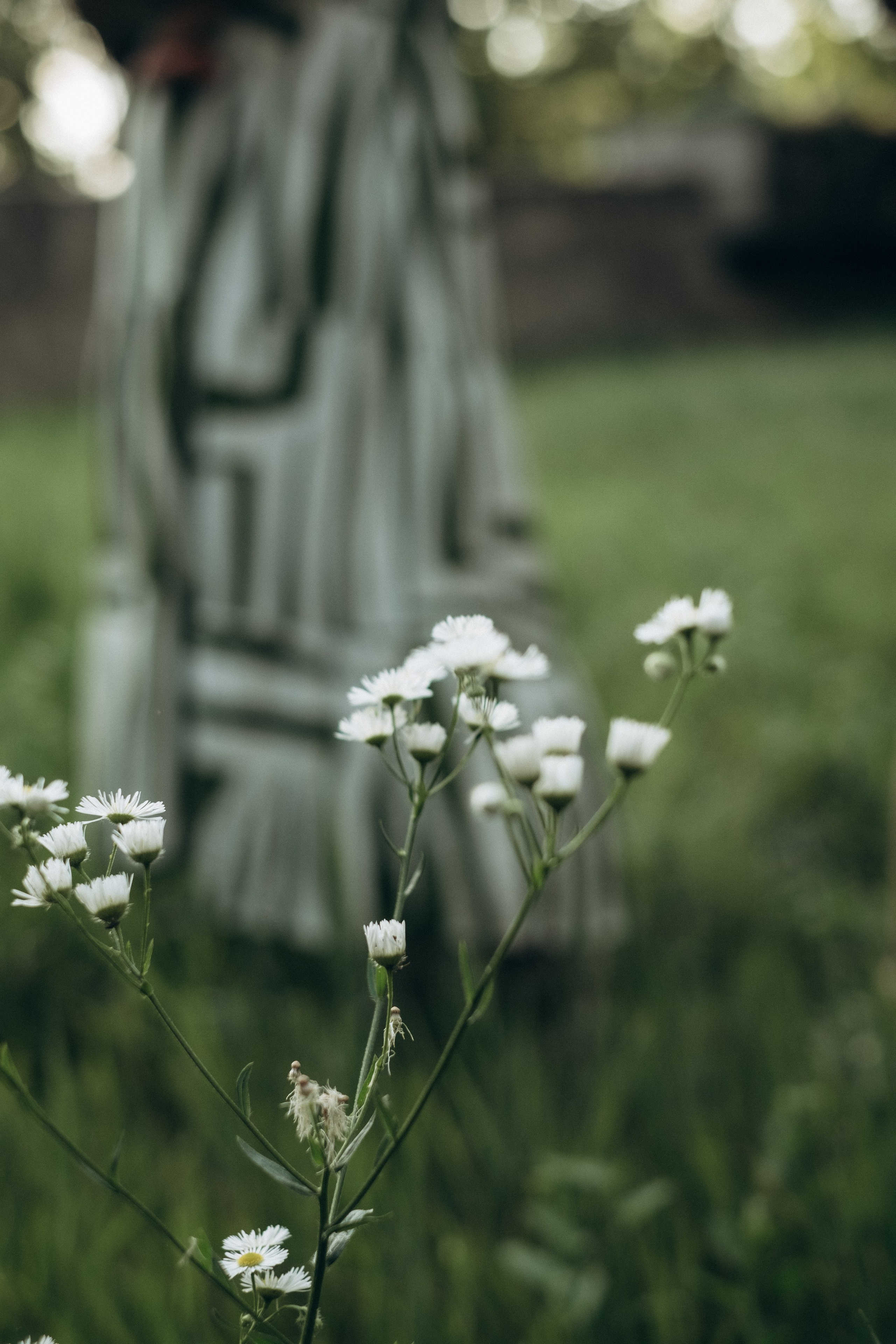 На природе. Семейный фотограф в Ростове-на-Дону Яна Макаренко