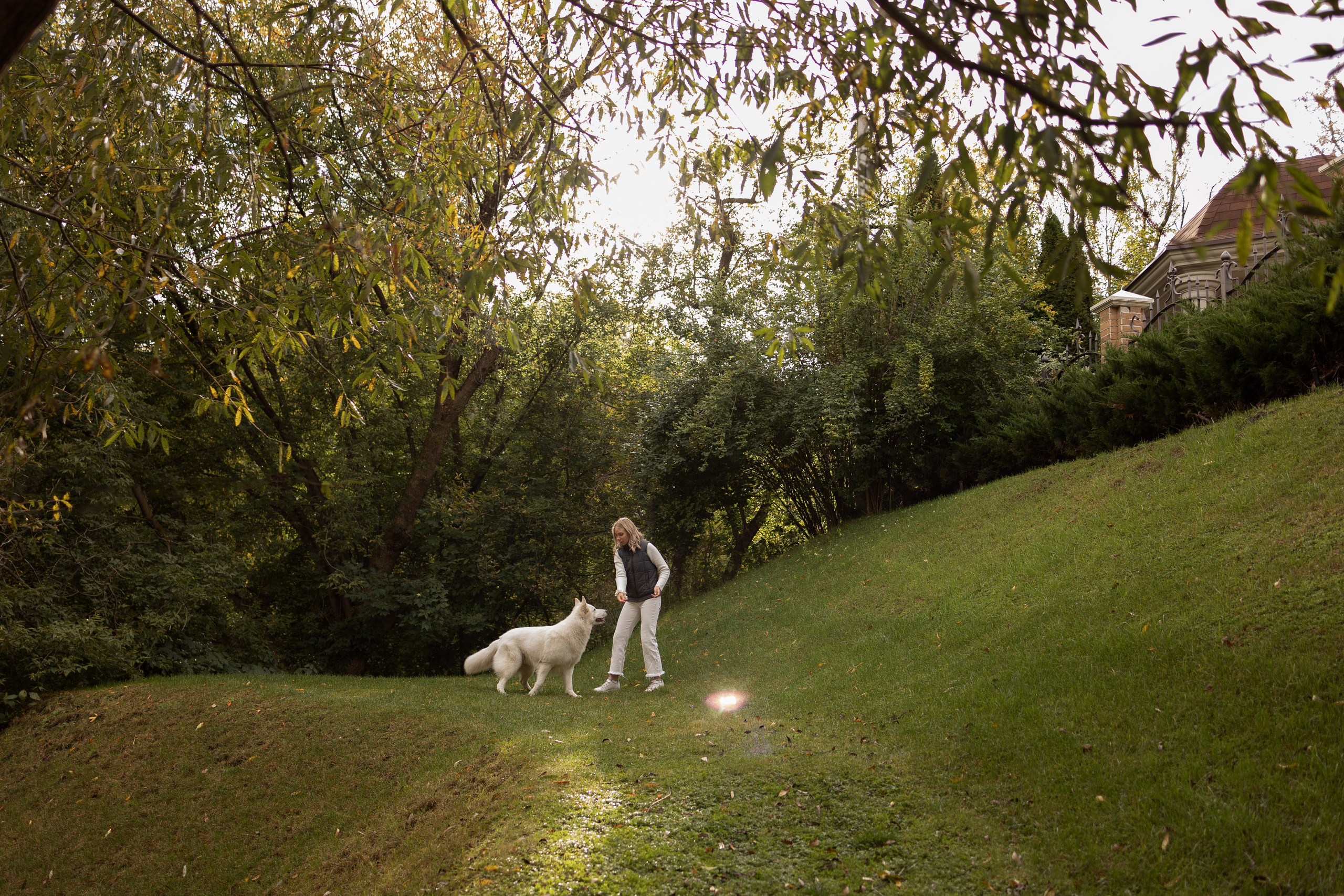 Алина и Райден. Фотограф — Анималист Наталья Тямушева
