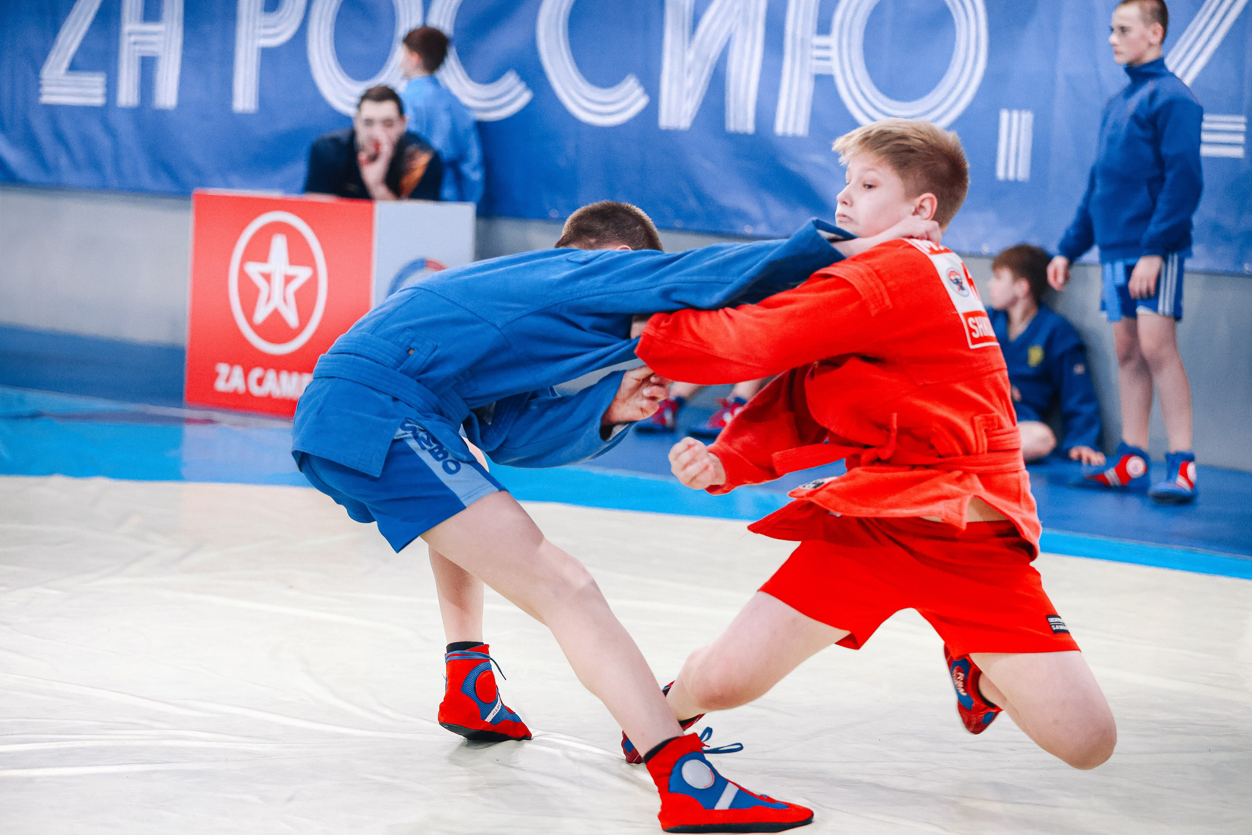 Первенство Тюмени по самбо. MIG — студия спортивной фотографии Михаила Голянского