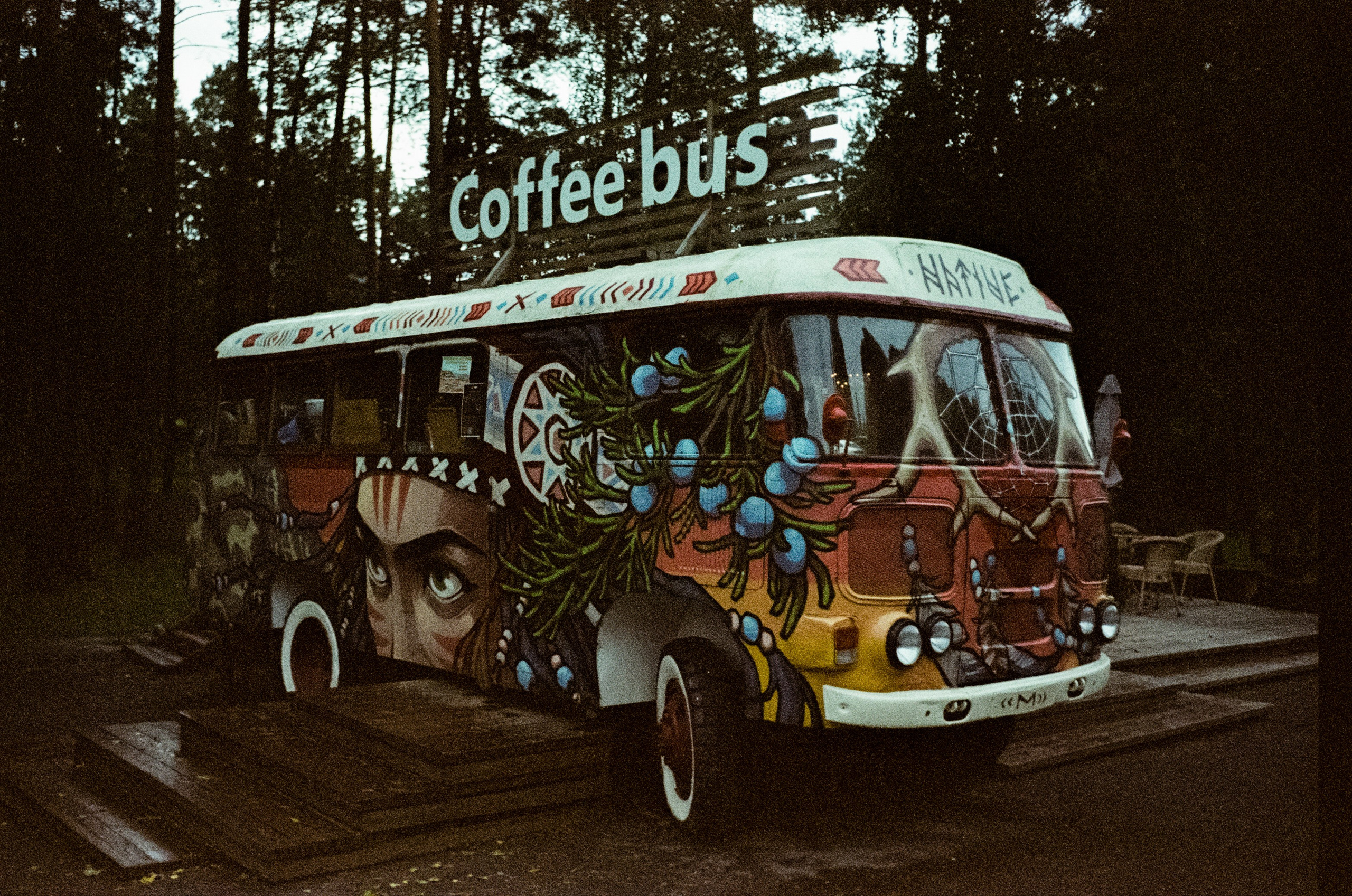 АЛТАЙ осень 2024 / Minox 35 GT (2) / Kodak Ultra Gold 400 24К (просрочка)