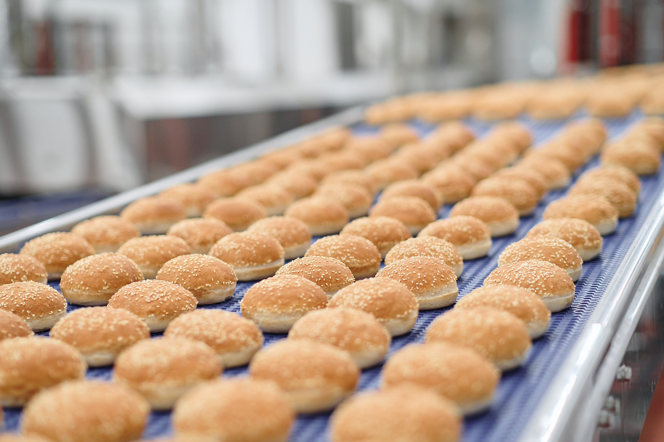 Фотограф на мероприятие. Light Media — креативный видеопродакшн