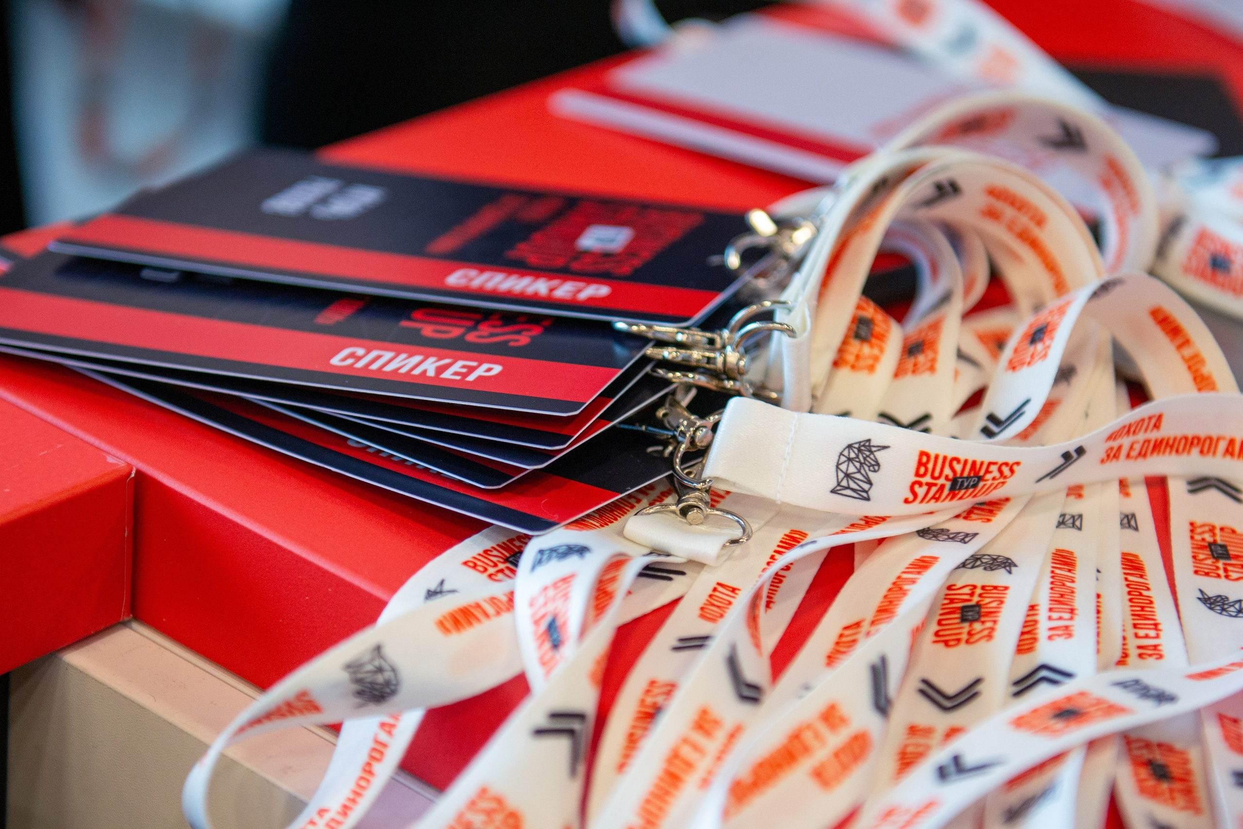 Тур Оскара Хартманна «Охота за единорогами». Дарья Терещук — репортажный фотограф в Минске