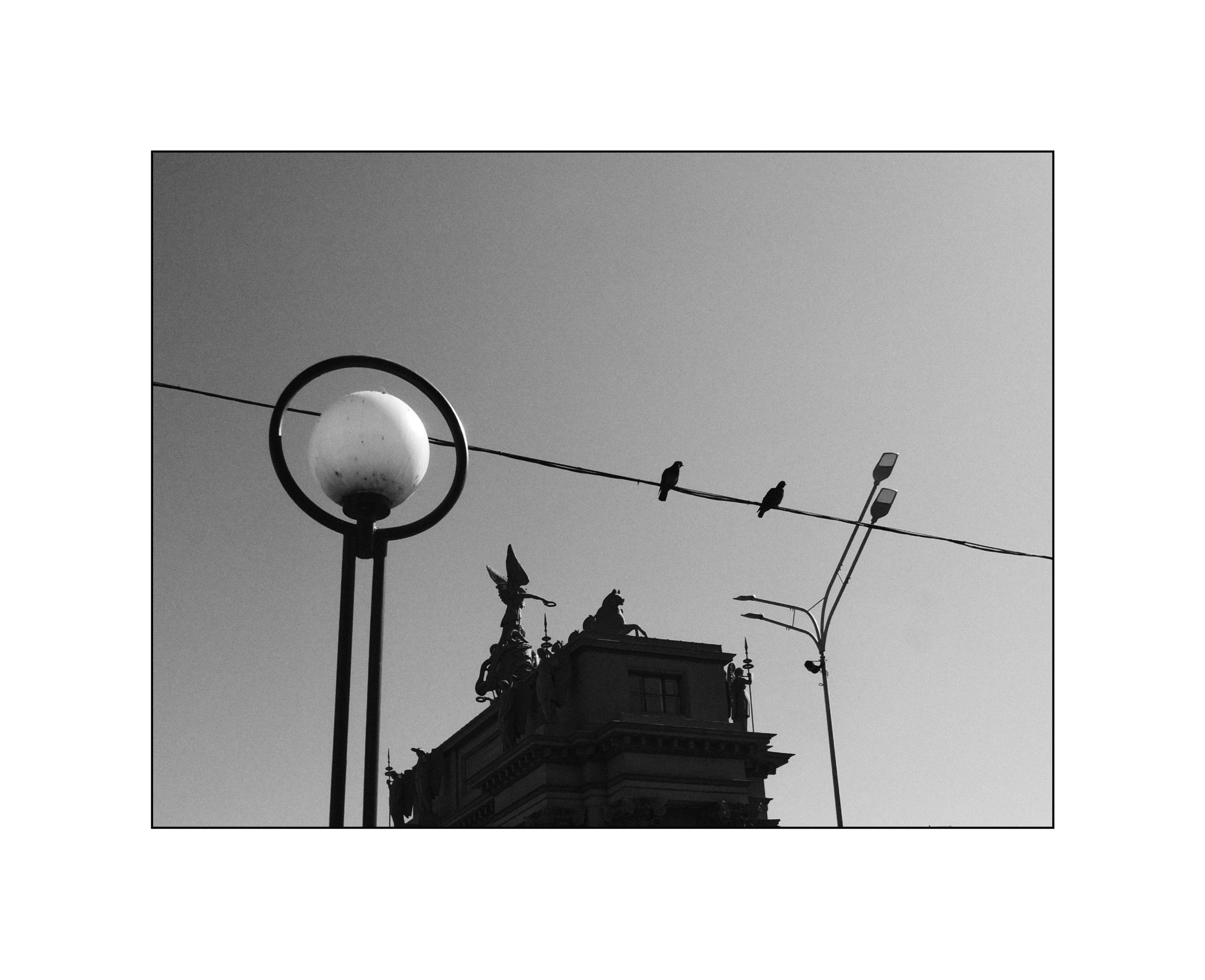 Bec. Шмитов Егор