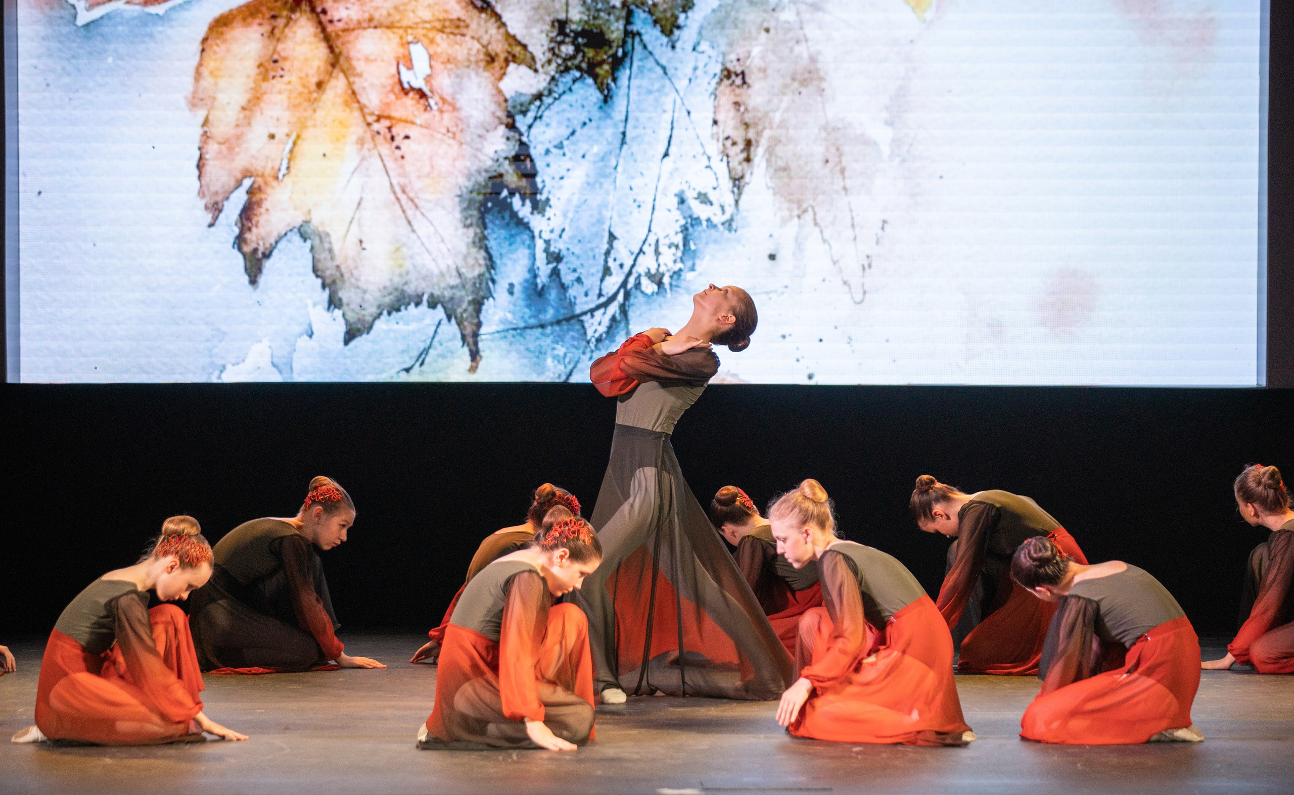 Отчетный концерт Danse Classique. Фотограф в Нижнем Новгороде, Дзержинске Олеся Хозяева